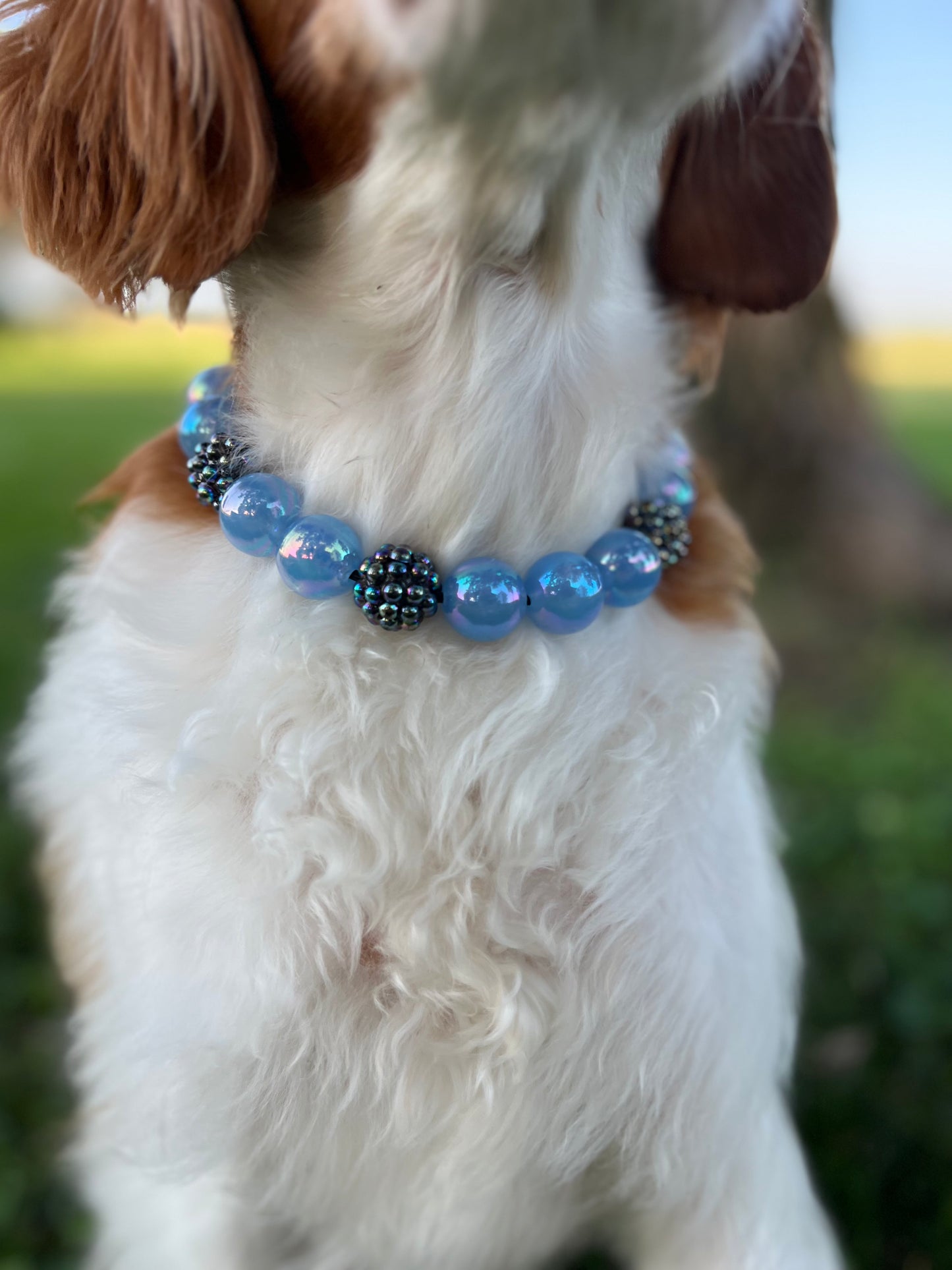 Blackberry Beaded Collar