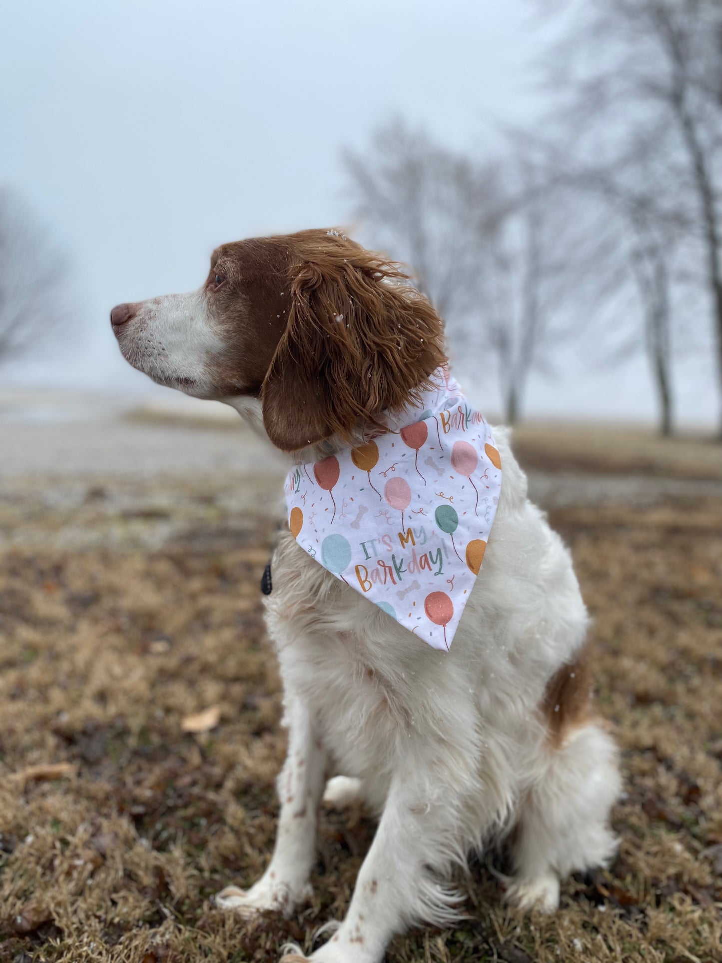 Happy Barkday Bandana