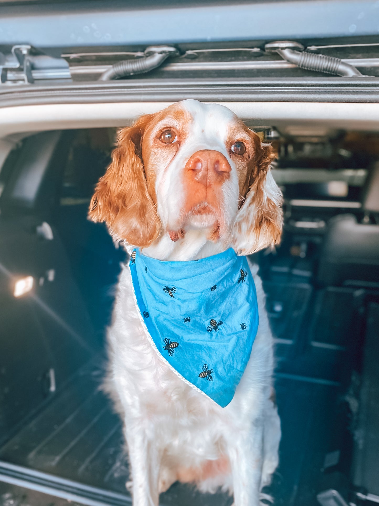 Spring Boys Dog Bandanas