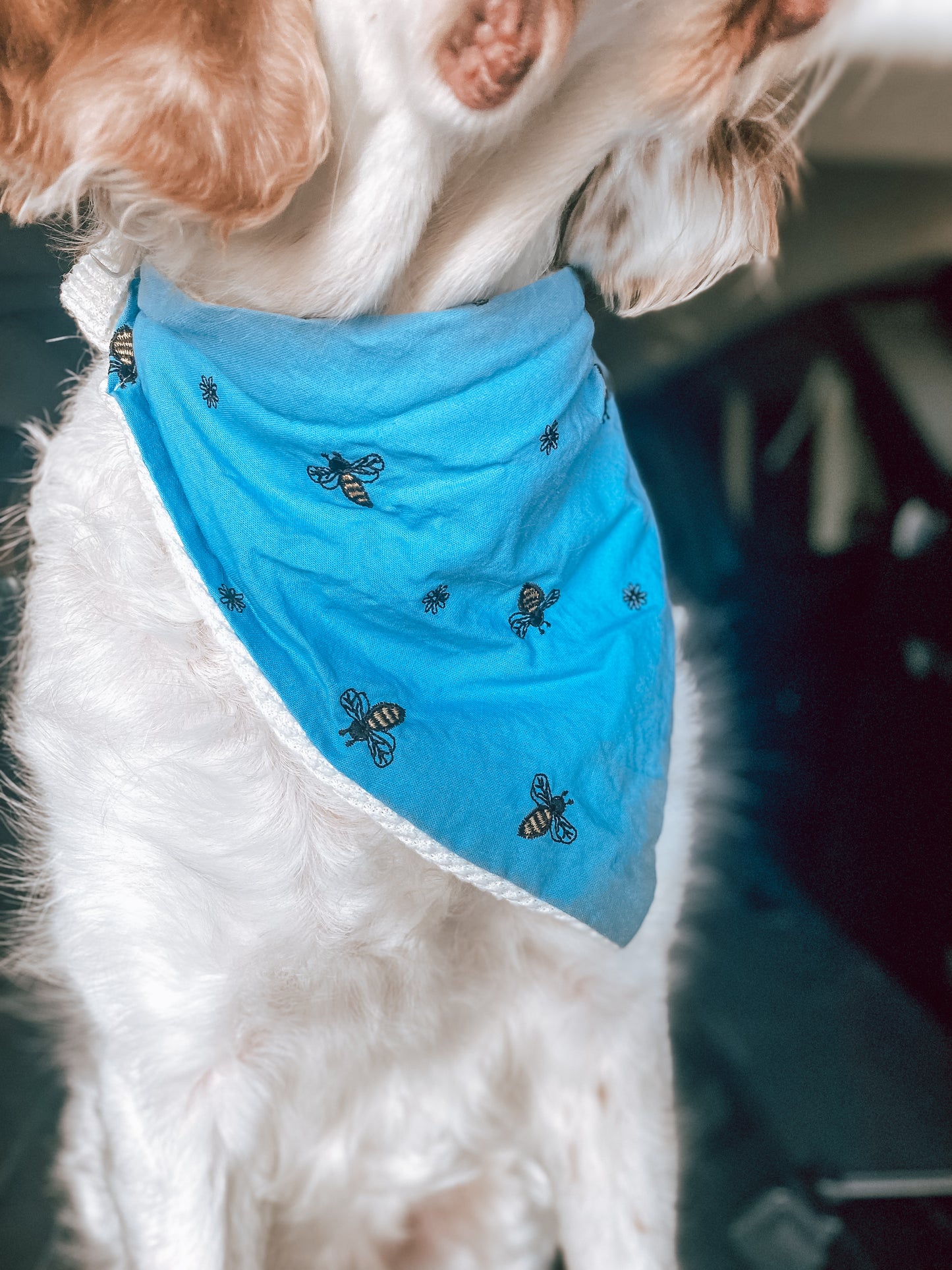 Spring Boys Dog Bandanas