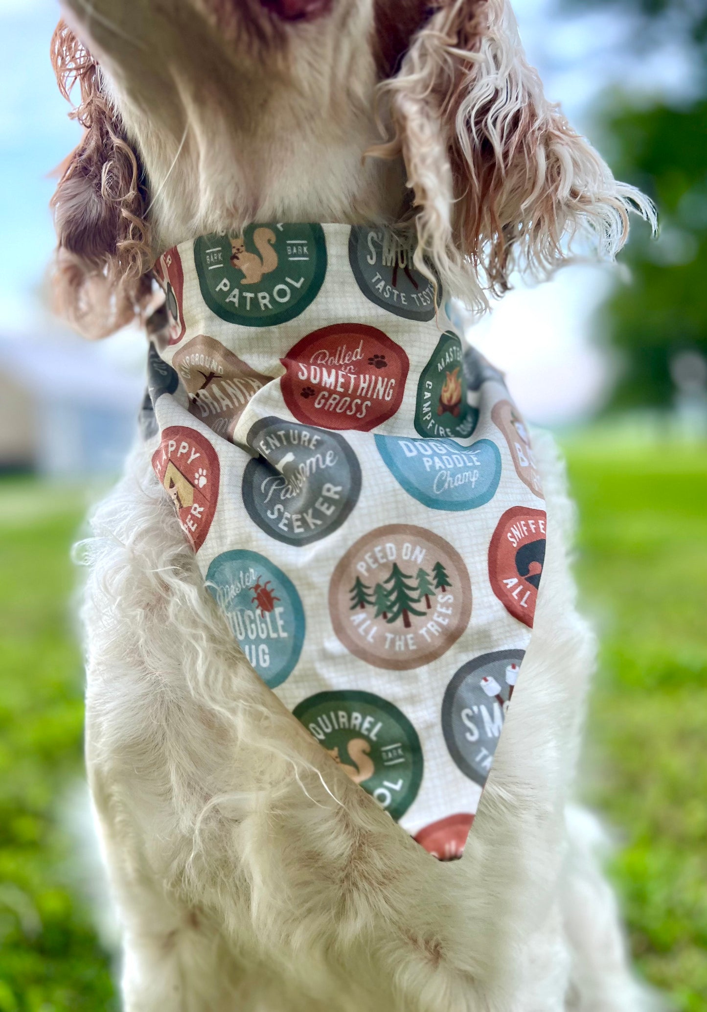 Outdoorsy Dog Bandanas