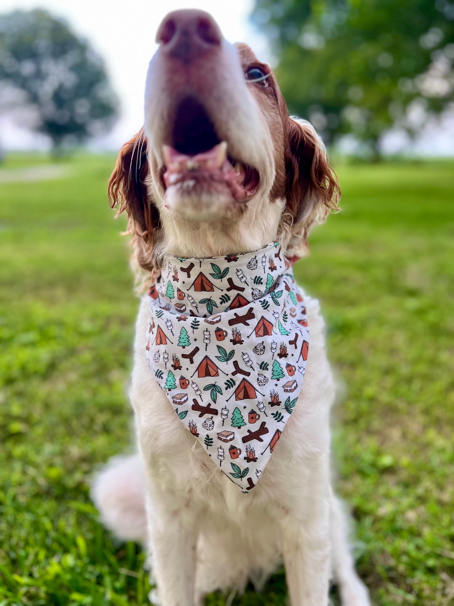 Outdoorsy Dog Bandanas