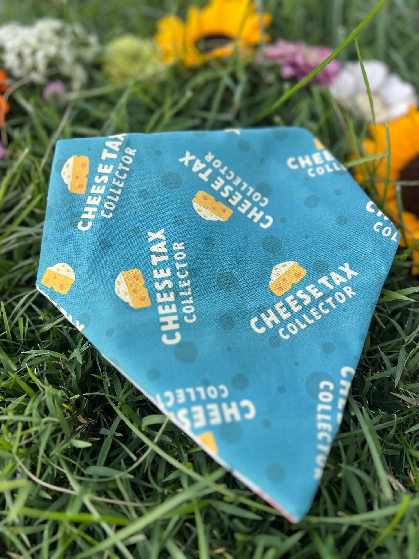 The Boys Dog Bandanas