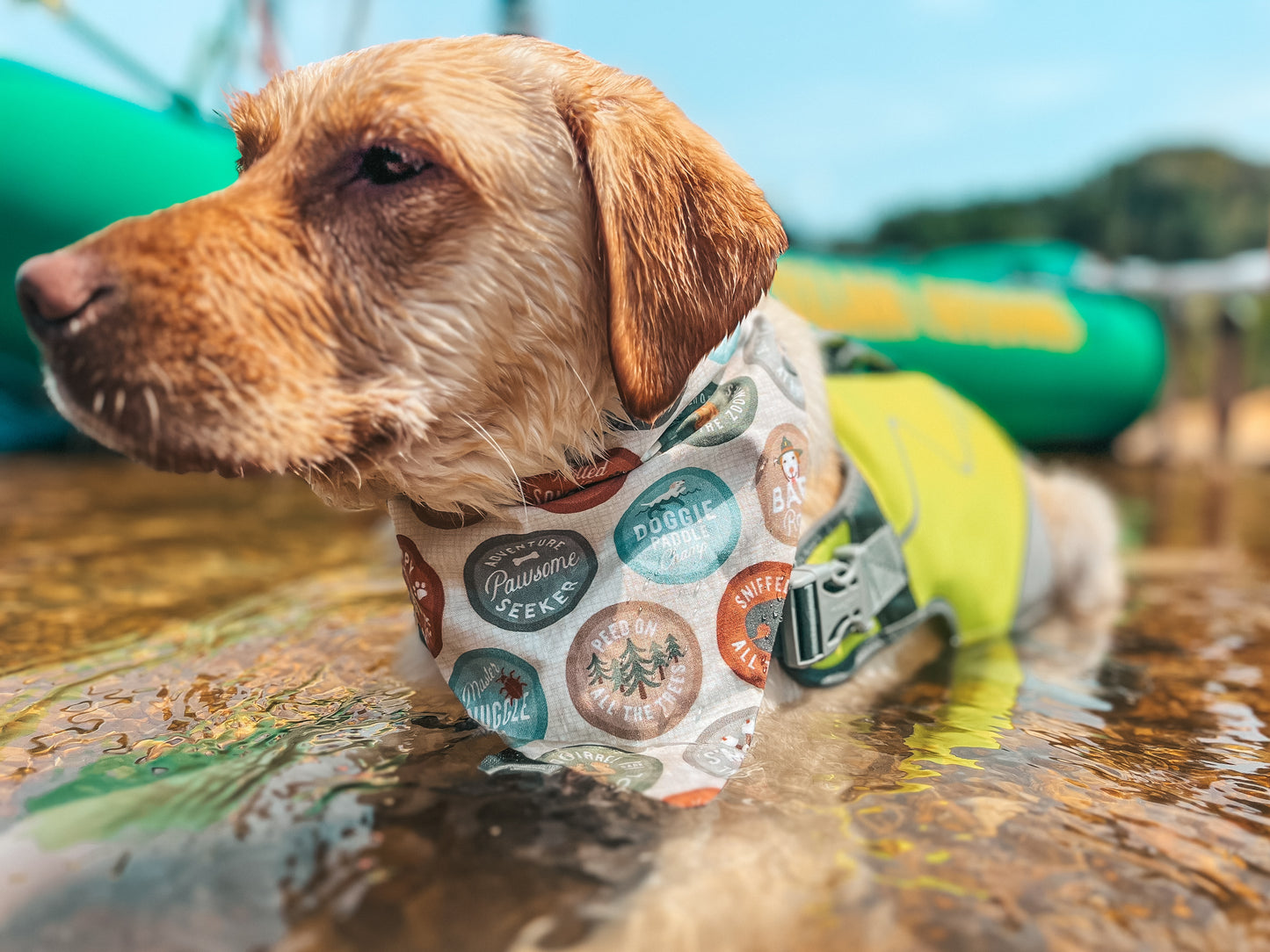 Outdoorsy Dog Bandanas