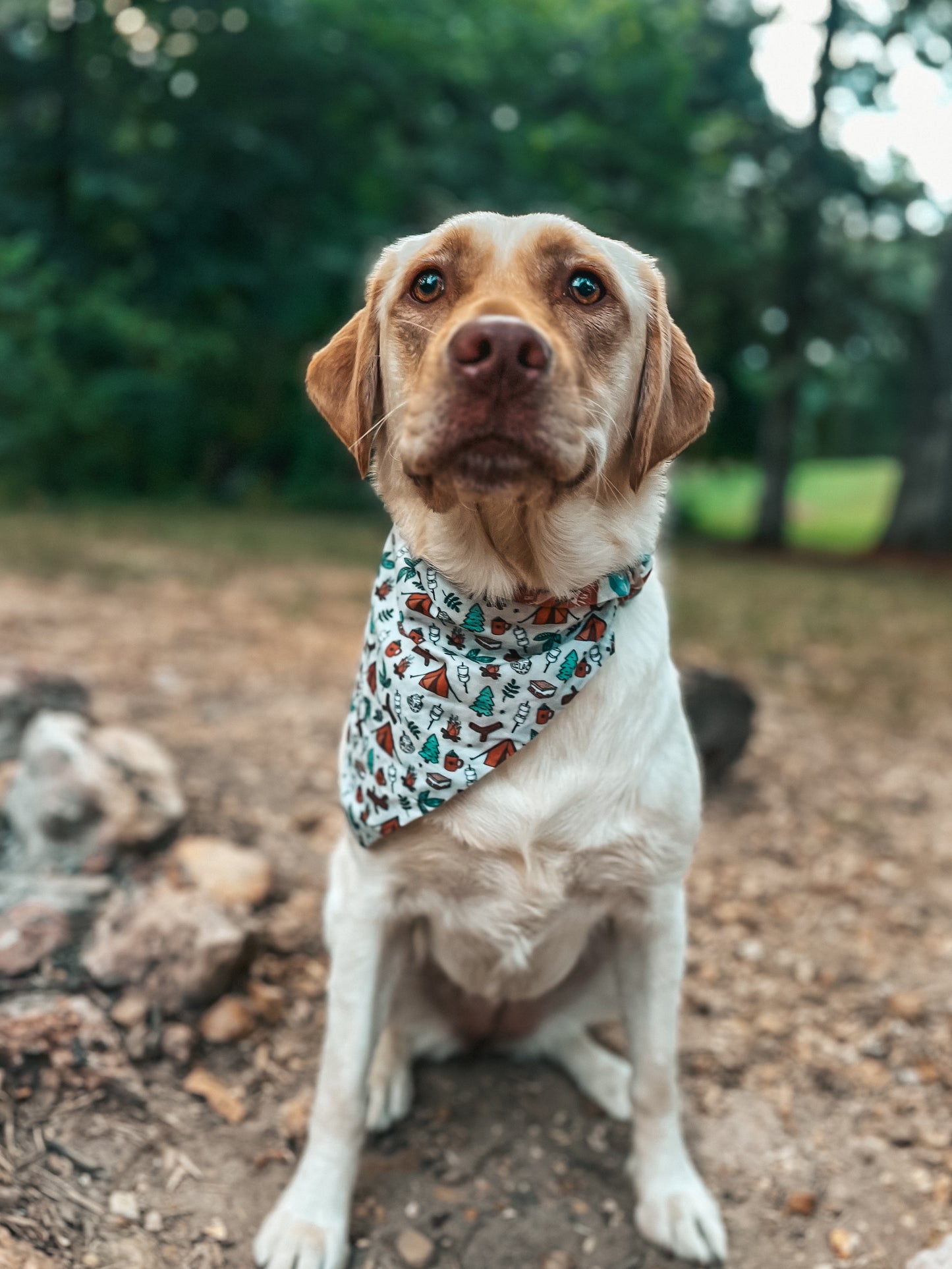 Outdoorsy Dog Bandanas