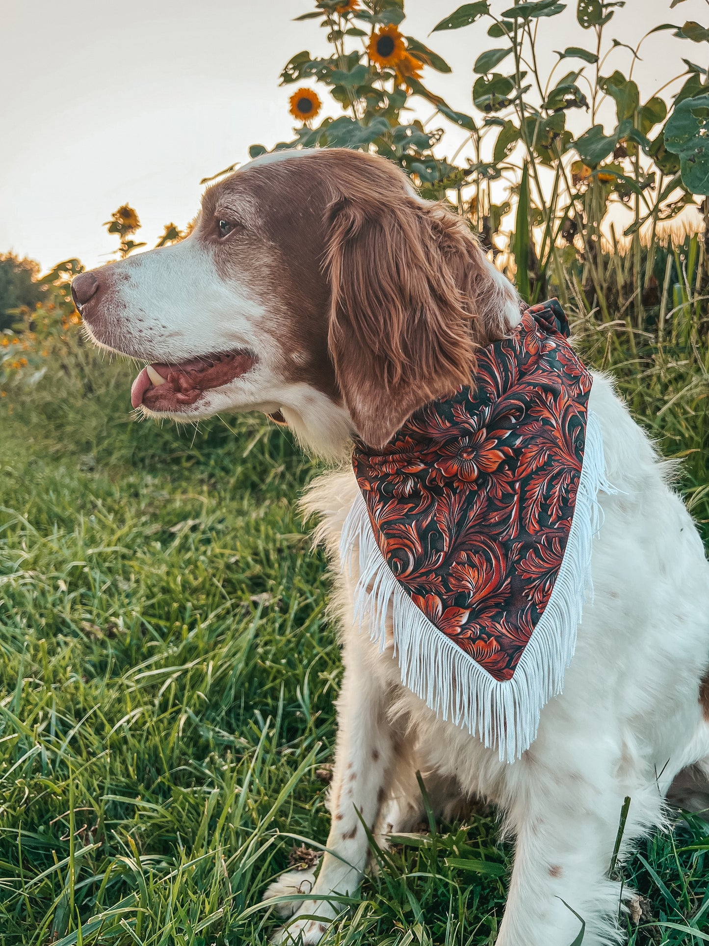 The Rancher Western Dog Bandana