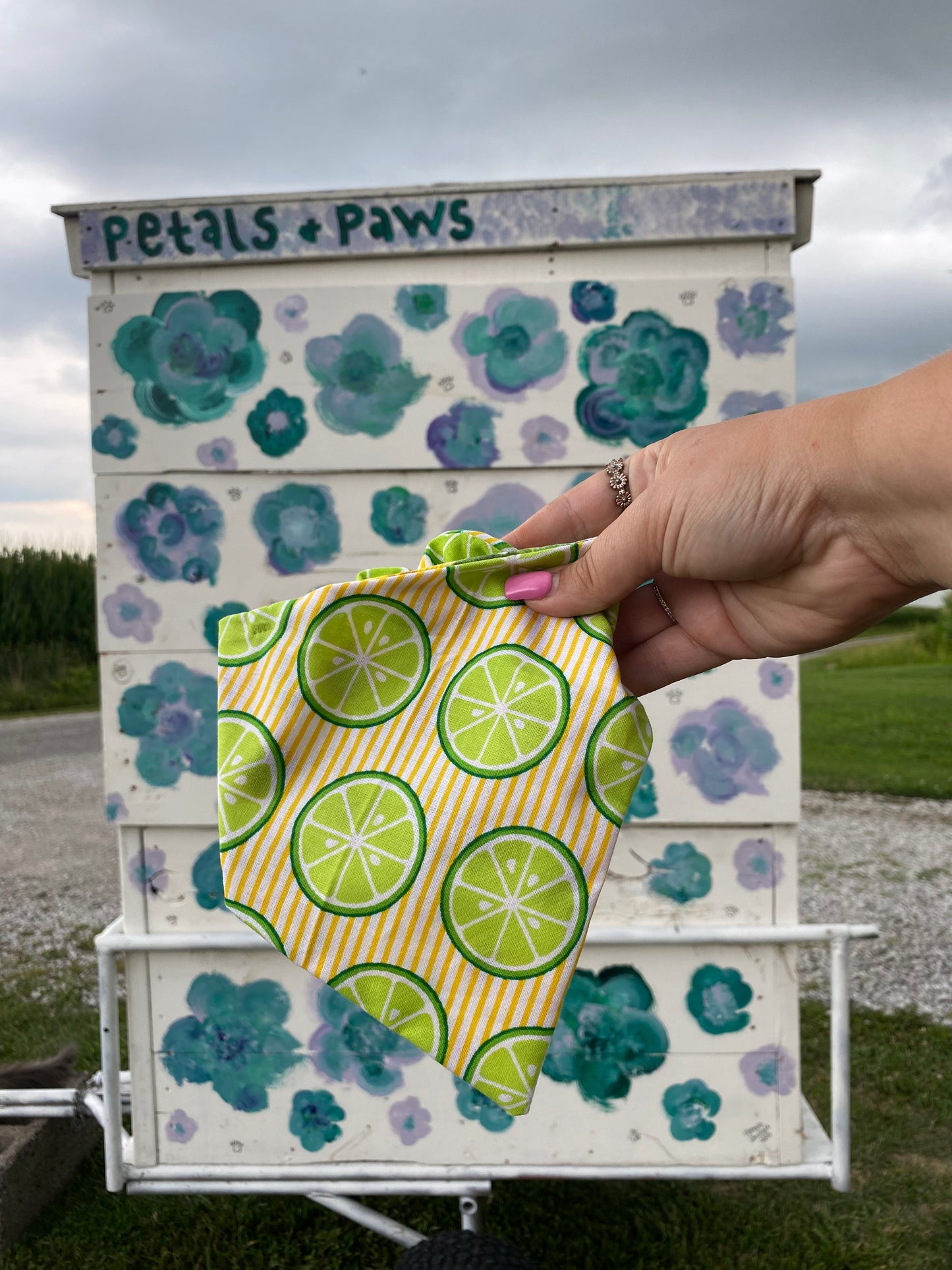 Summer Dog Bandanas