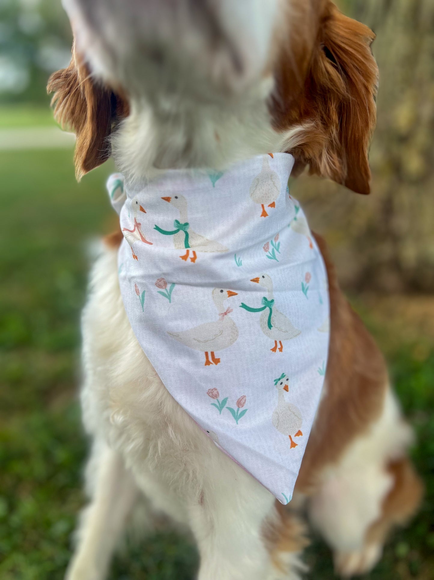 Girly Pop Dog Bandanas