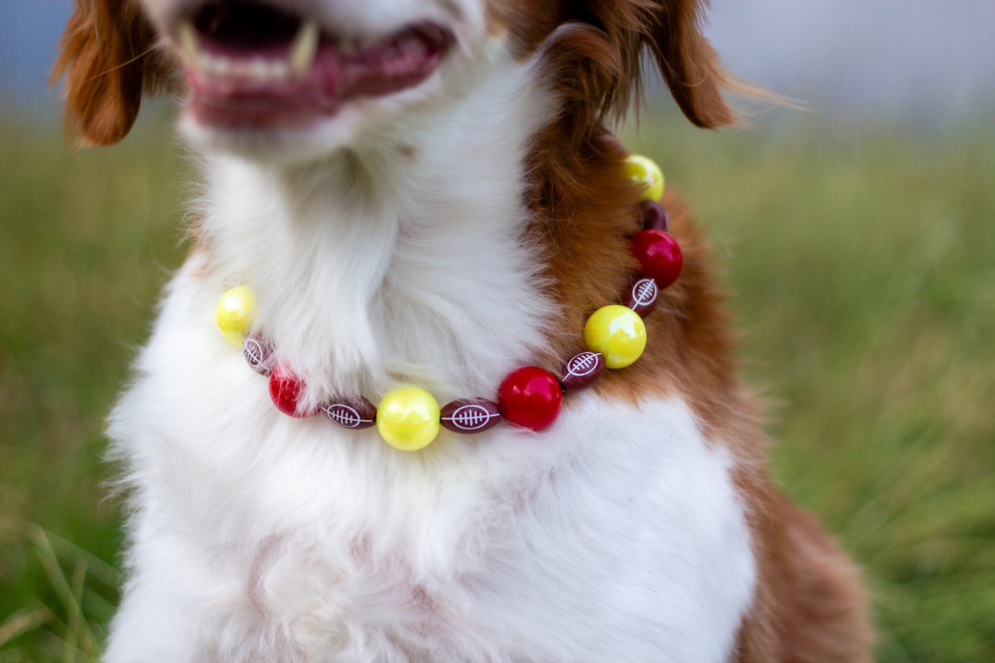 Football KC Beaded Dog Collar