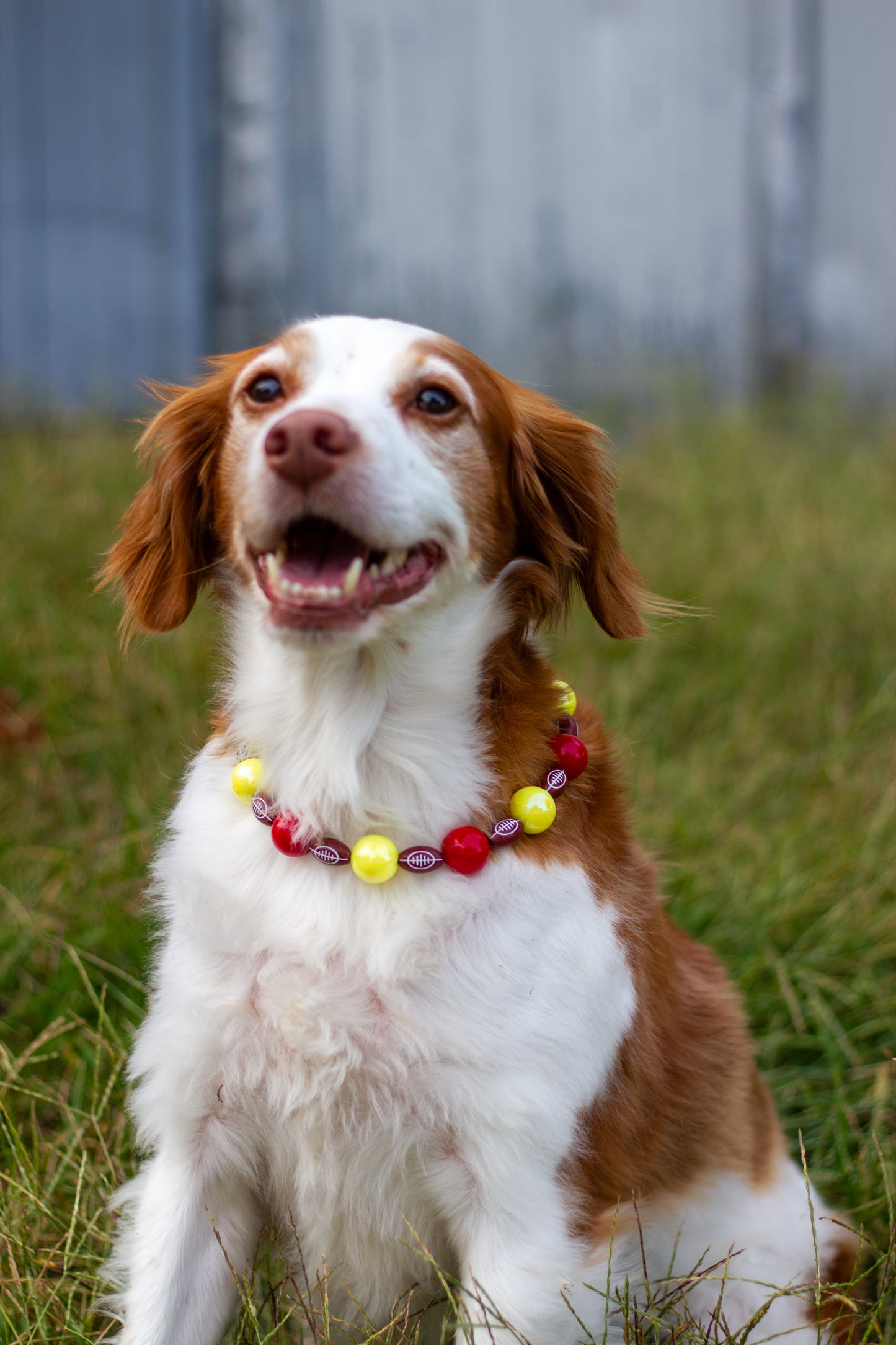 Football KC Beaded Dog Collar