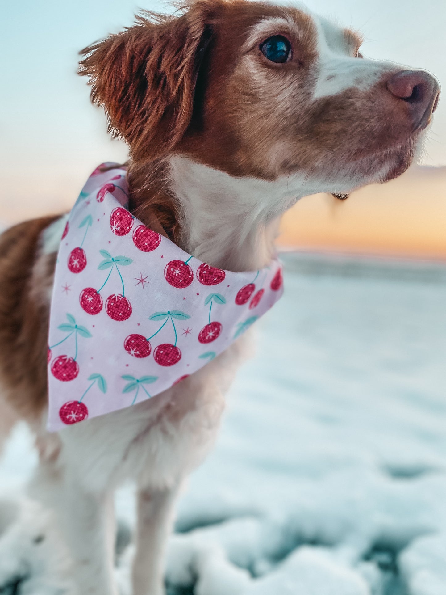 Pink Girly Dog Bandanas