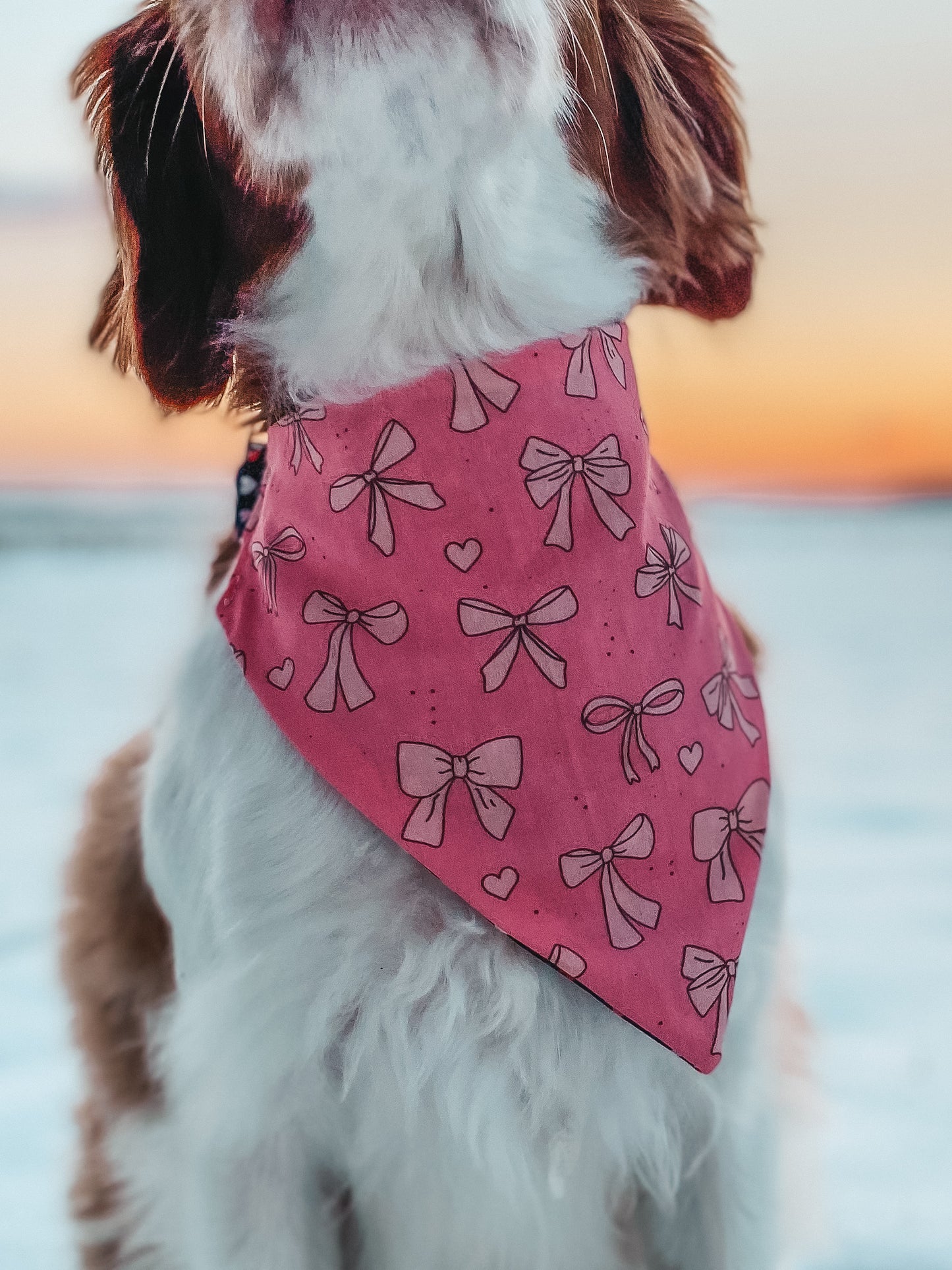 Pink Girly Dog Bandanas