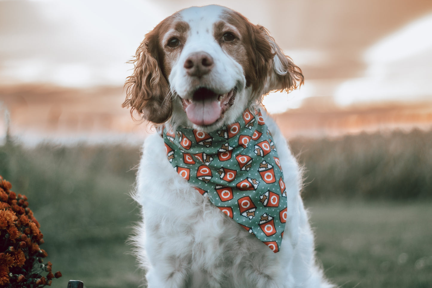 Fall/Halloween Dog Bandanas