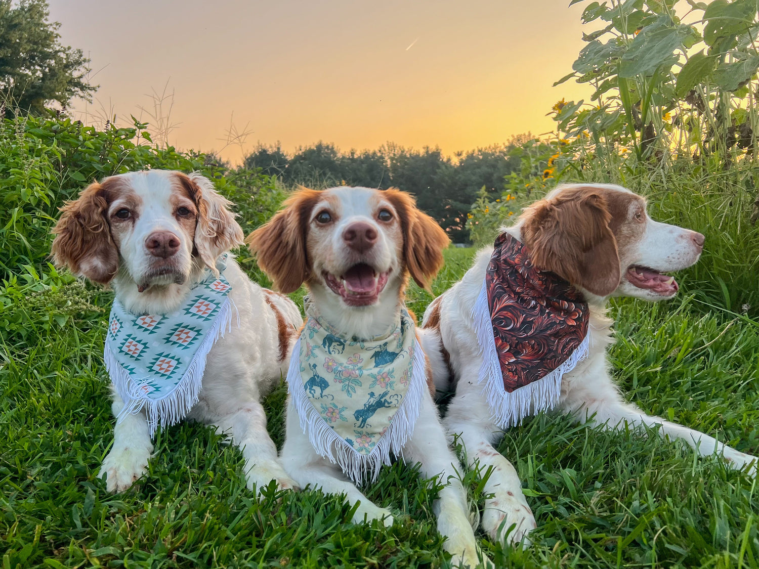 Bandanas