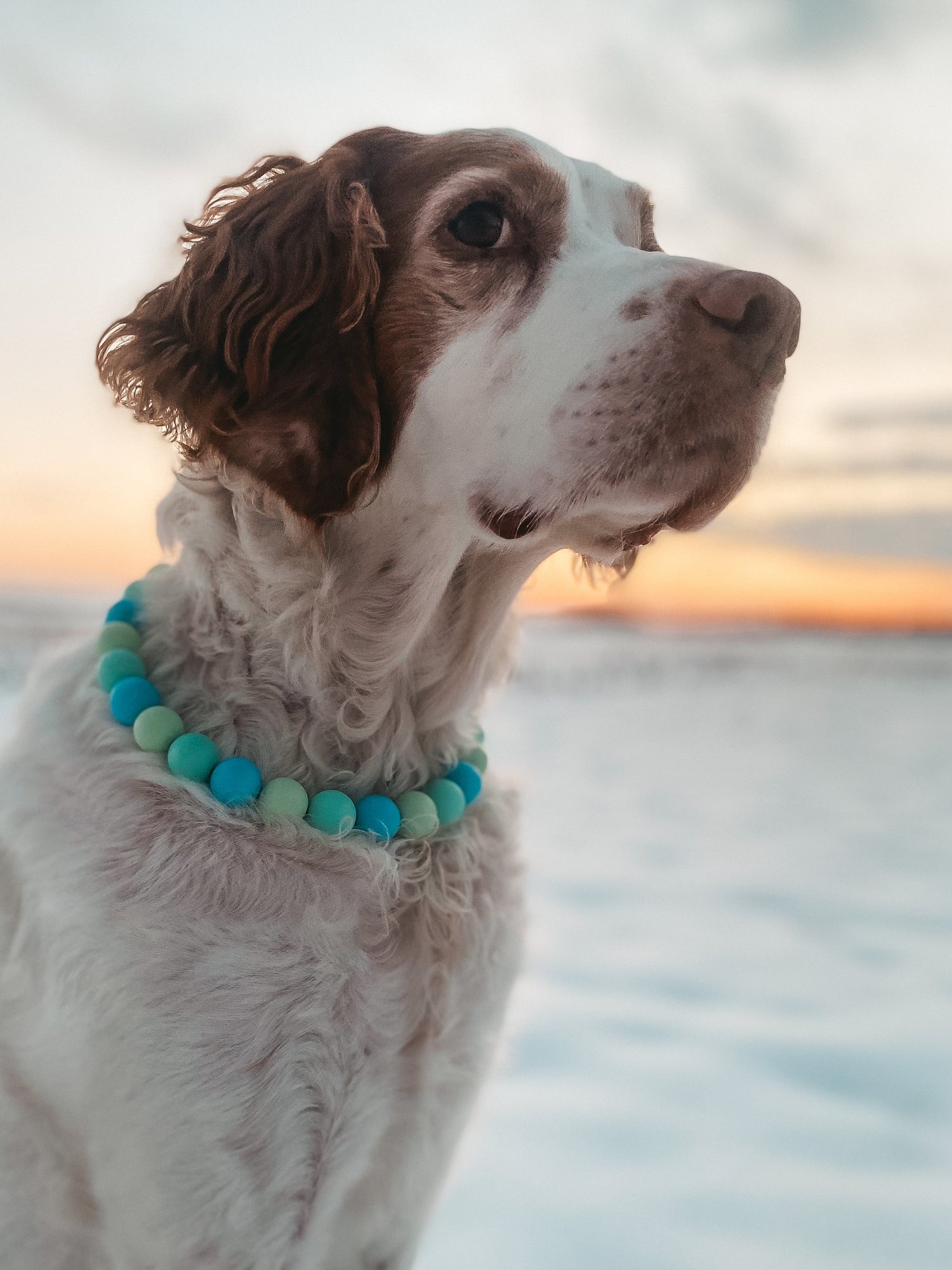 Beaded Collars