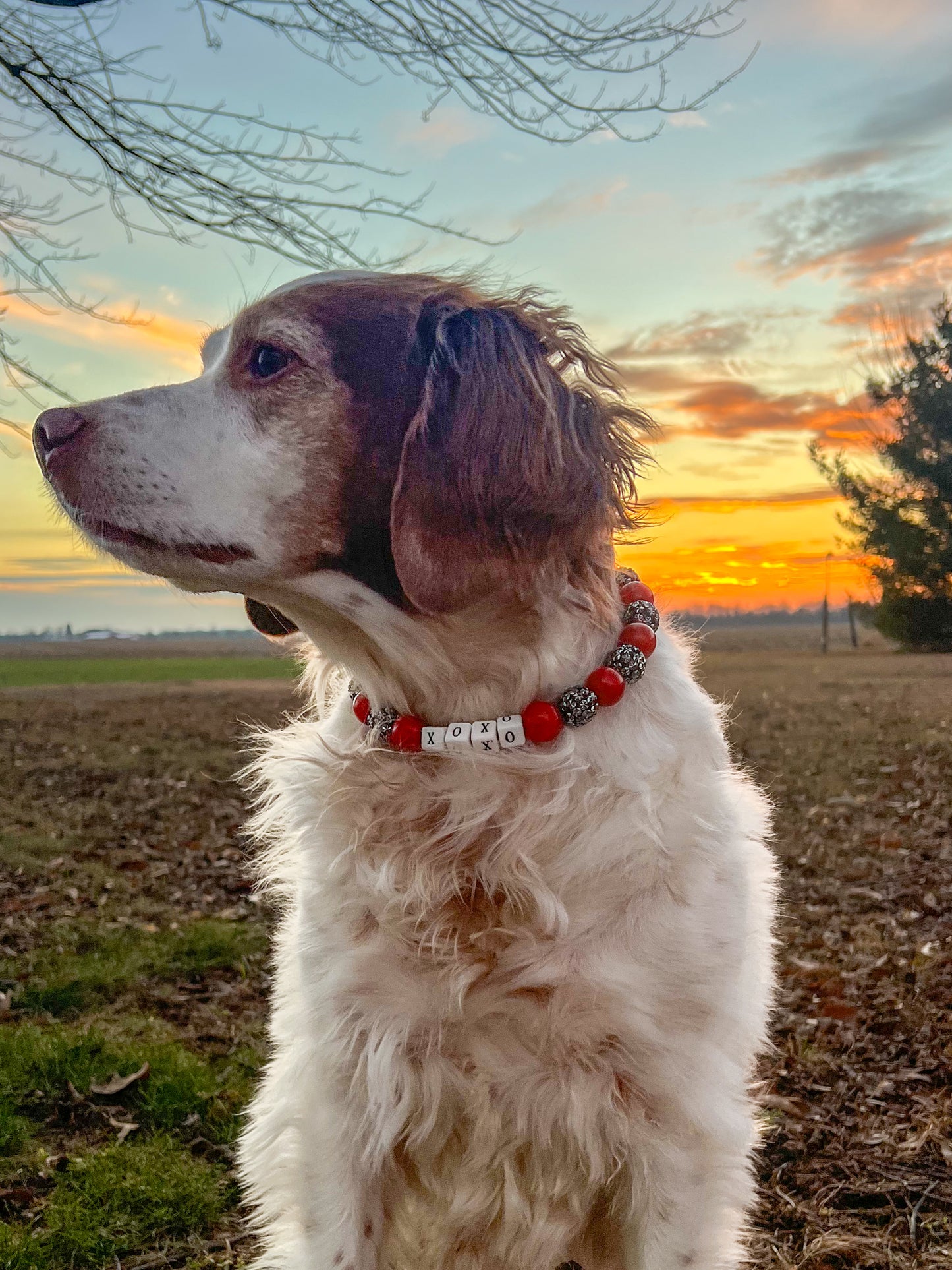 Large Valentines Beaded Collar