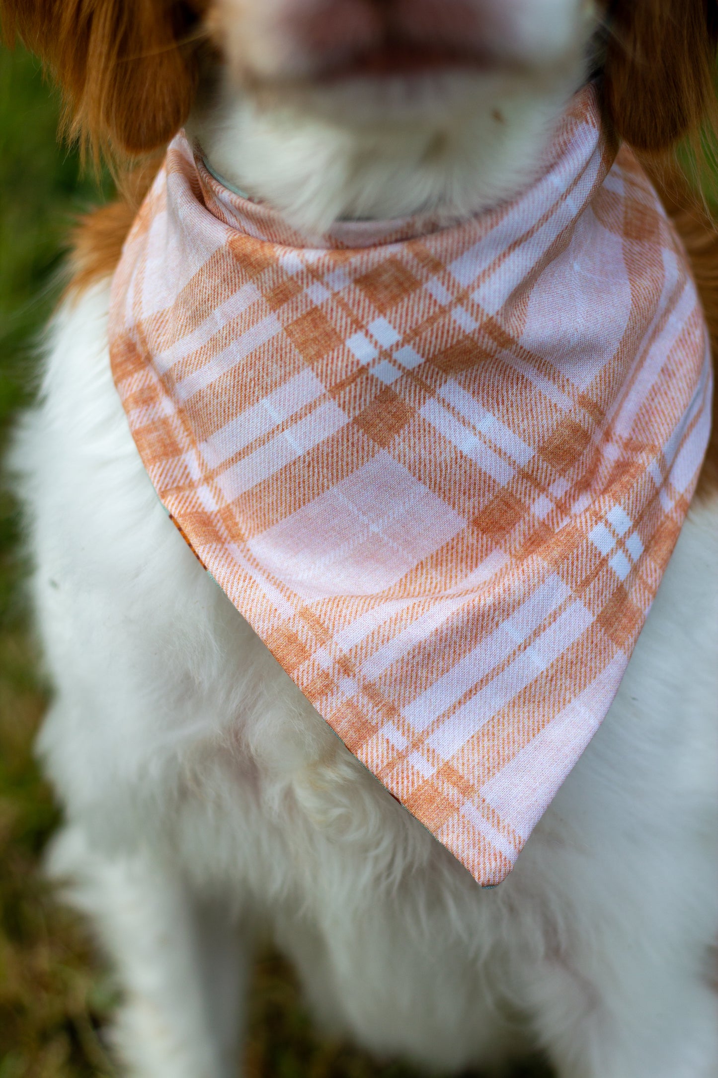 Fall Bandanas