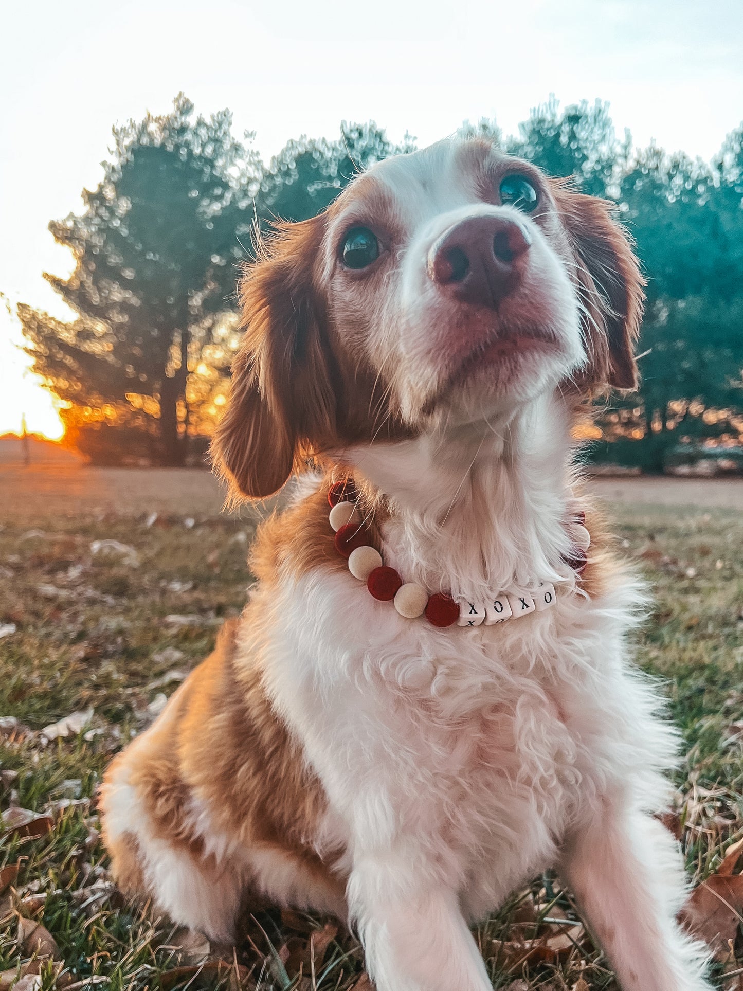 Medium Valentines Beaded Collar