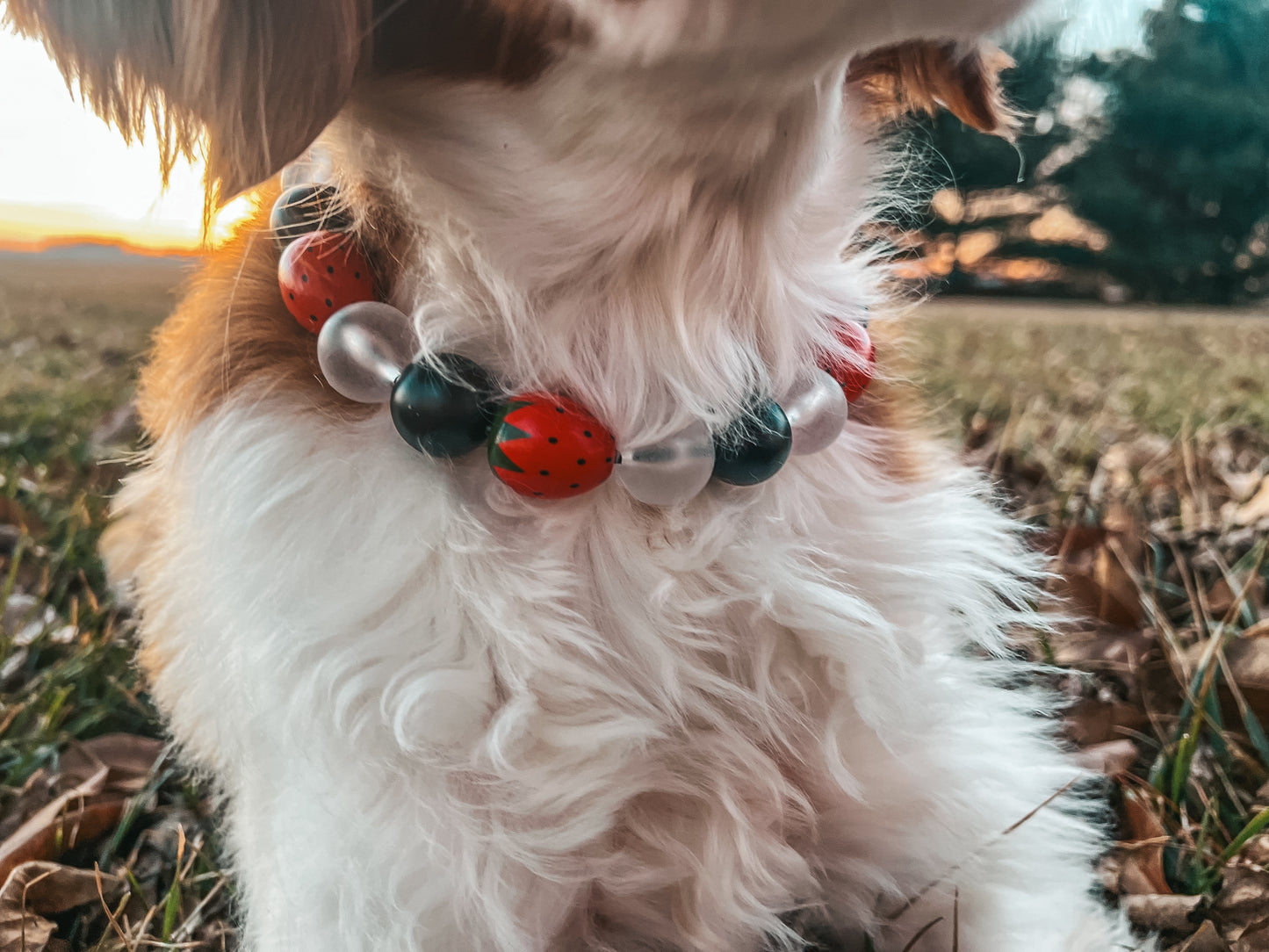 Strawberries & Cream Beaded Collar