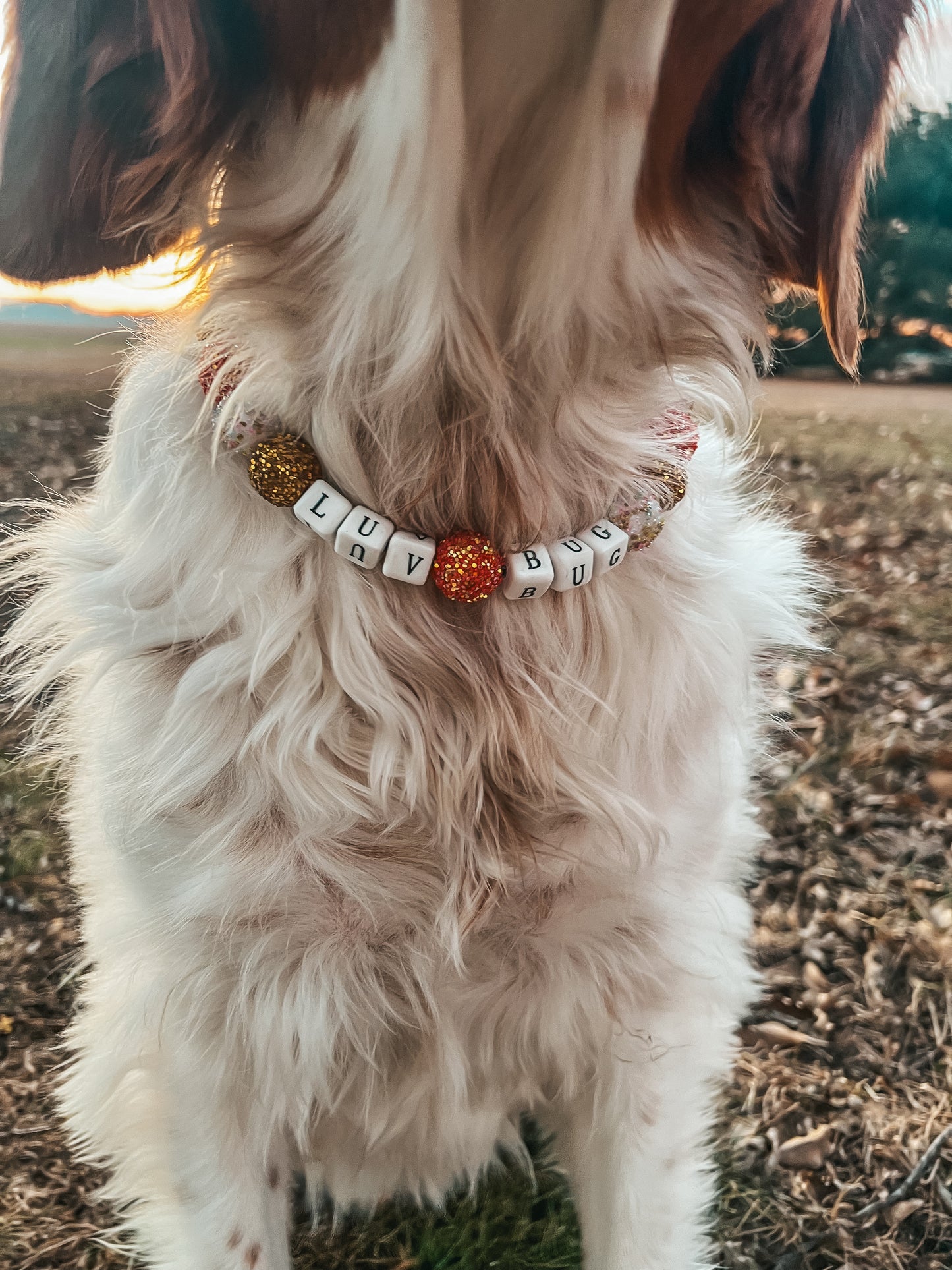 Large Valentines Beaded Collar