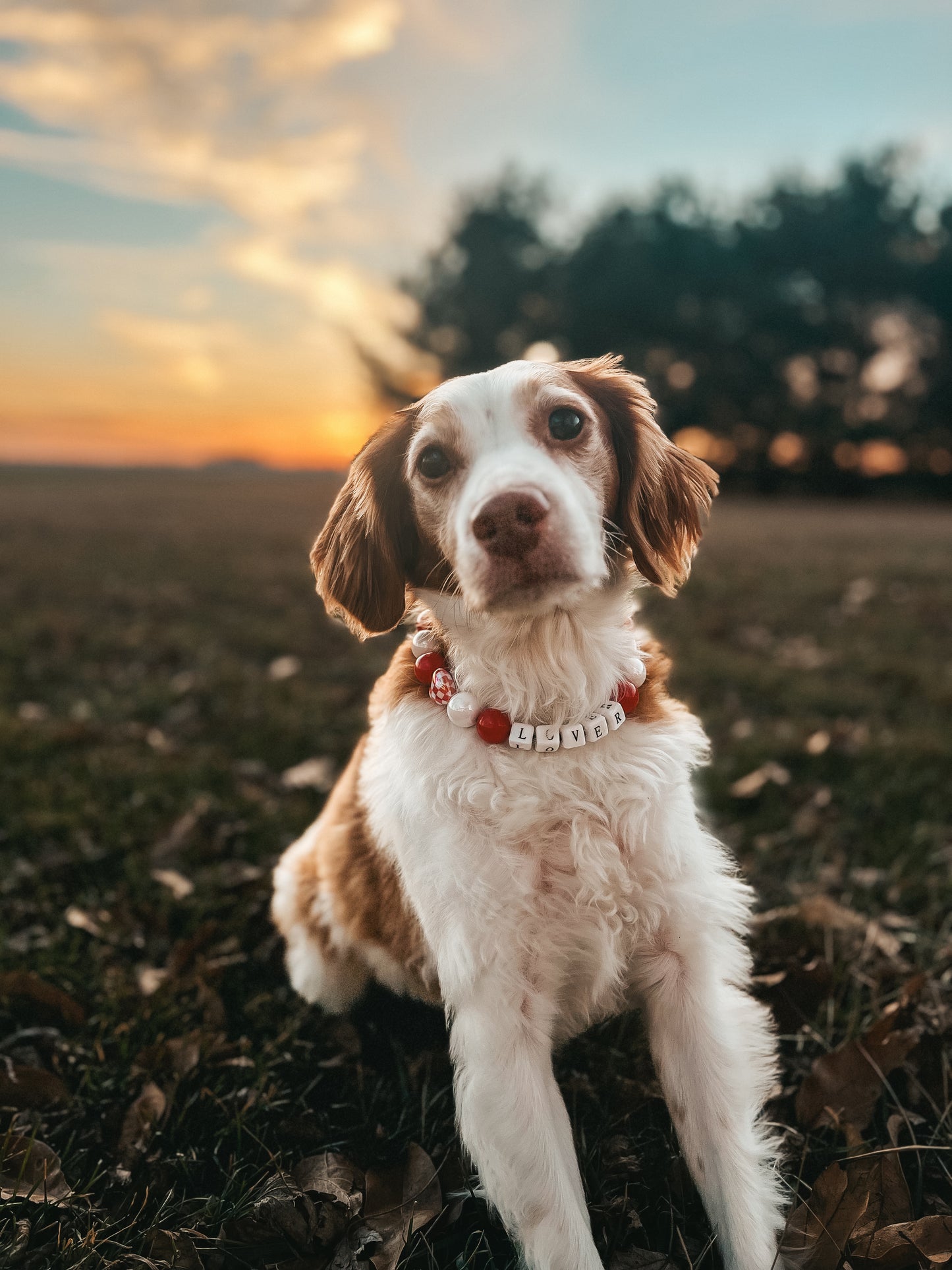 Medium Valentines Beaded Collar