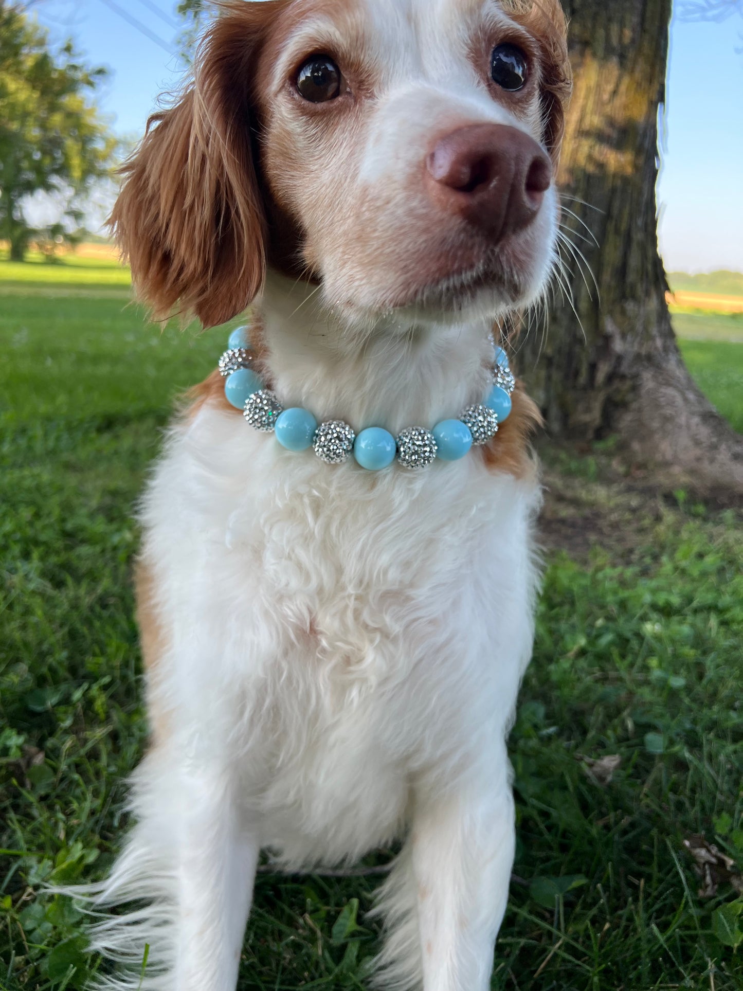 Silver Blue Beaded Collar