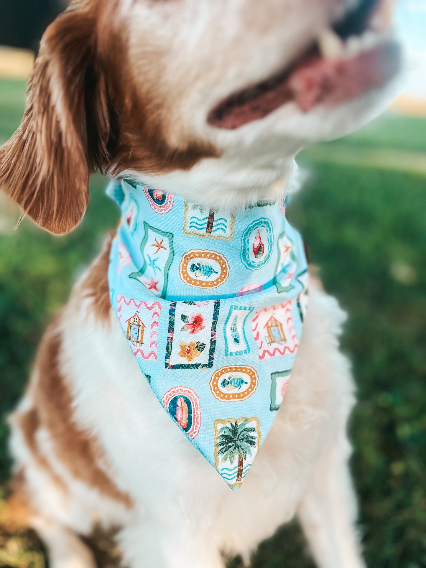 Coastal Reversible Bandana