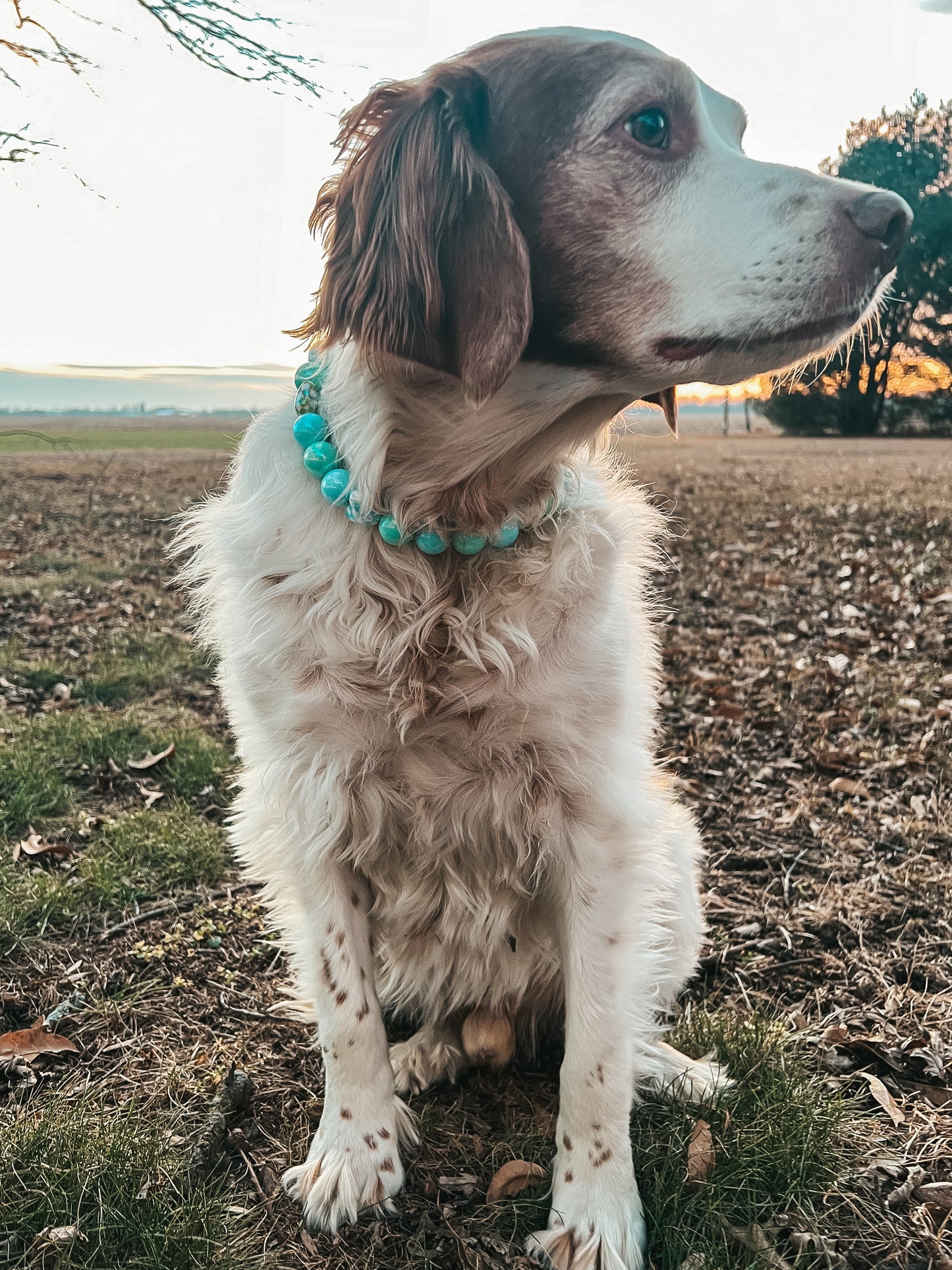 Large Valentines Beaded Collar