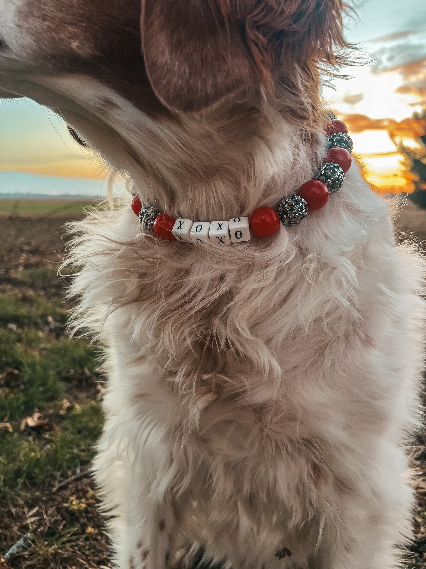 Large Valentines Beaded Collar