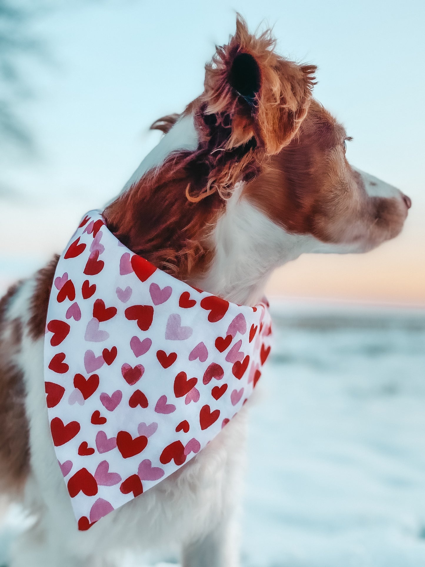Valentines Day Bandana 2