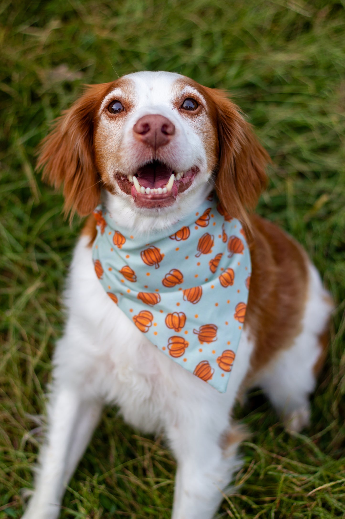 Fall Bandanas