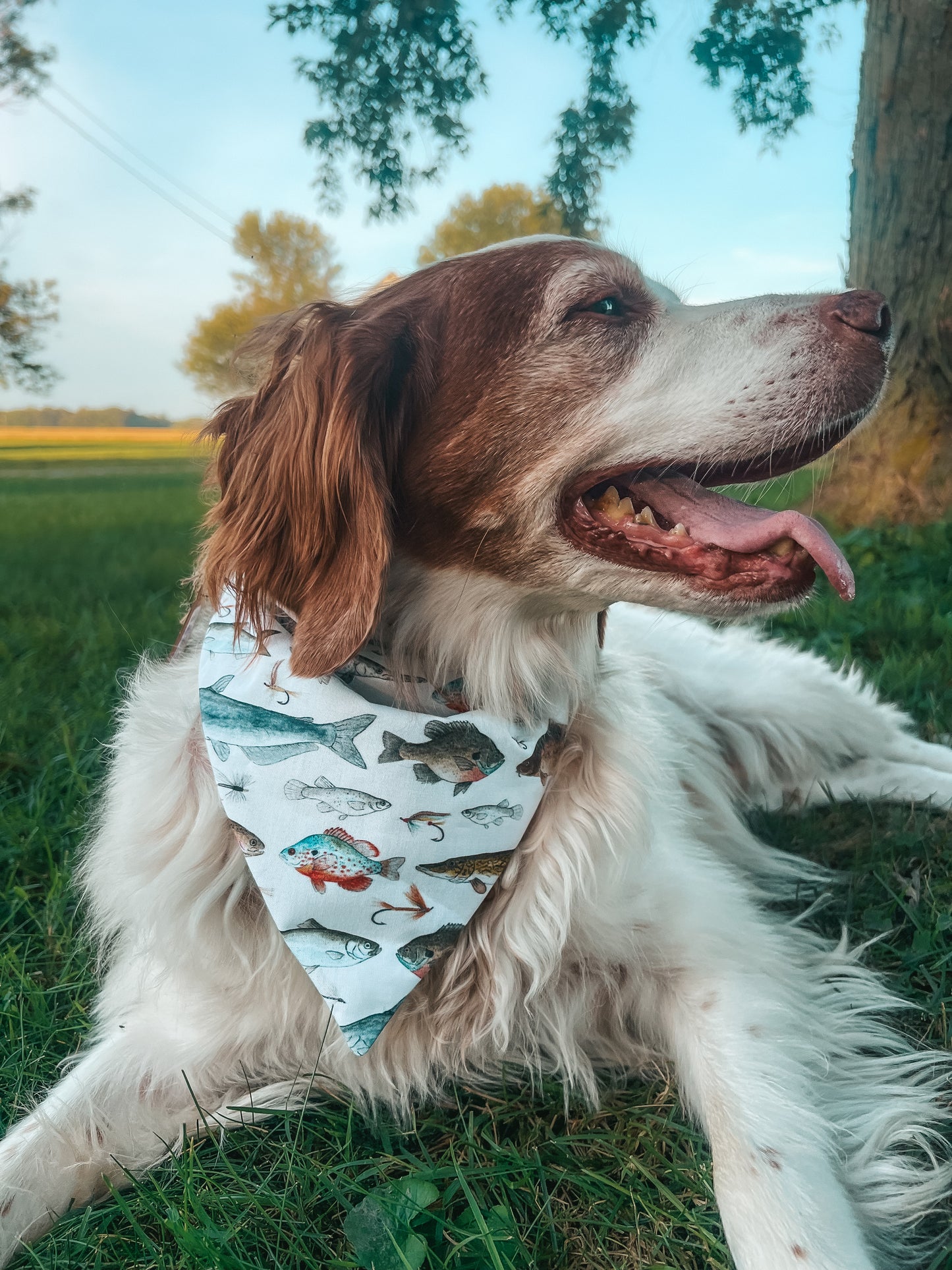The Hunting Club Reversible Bandana