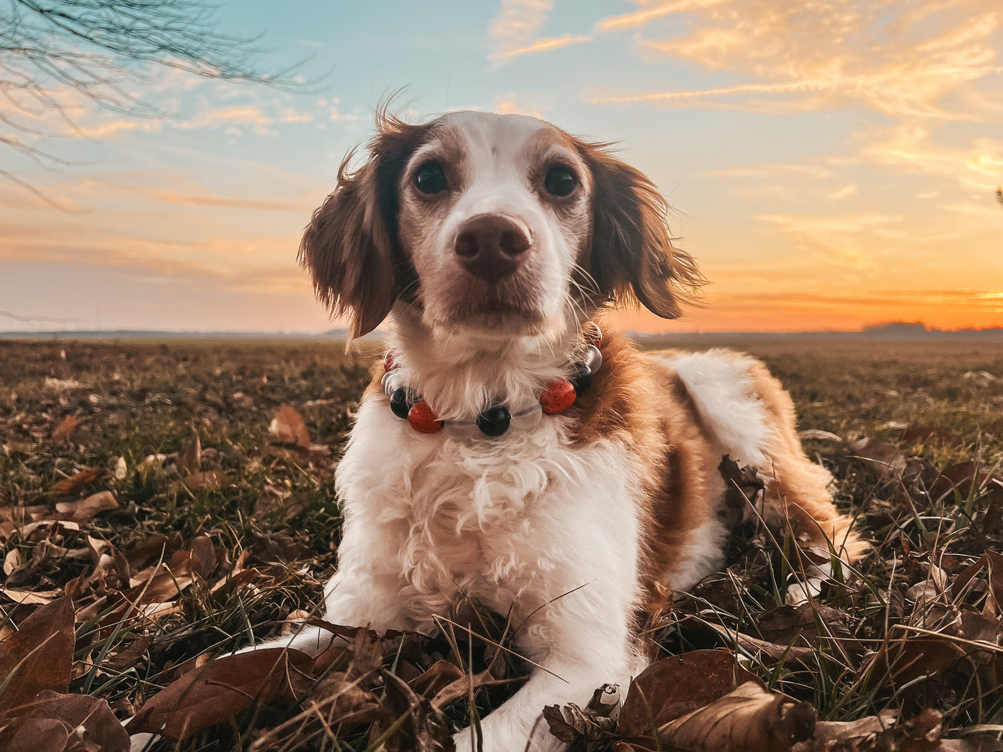 Strawberries & Cream Beaded Collar