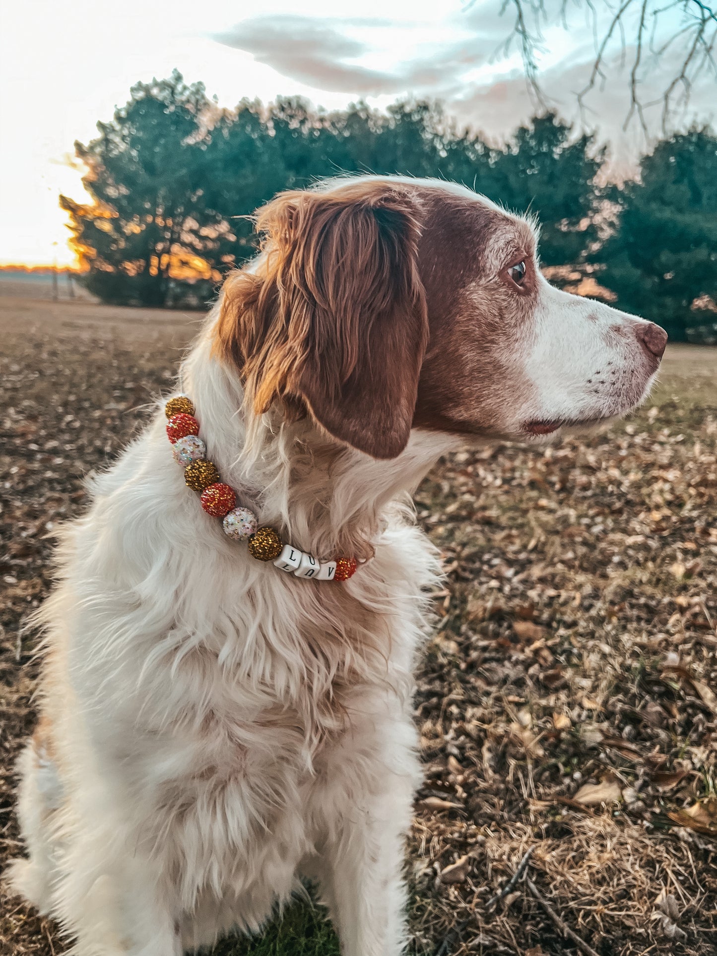 Large Valentines Beaded Collar