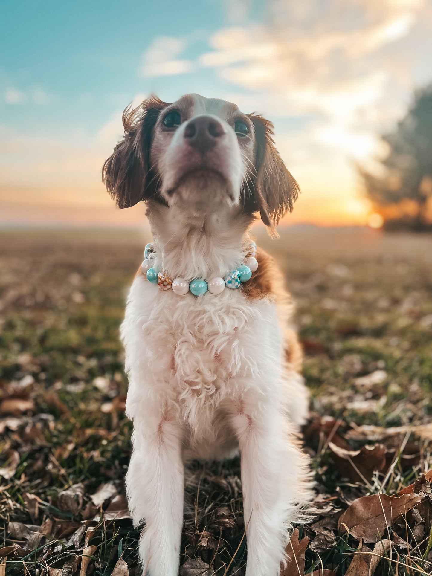 Medium Valentines Beaded Collar