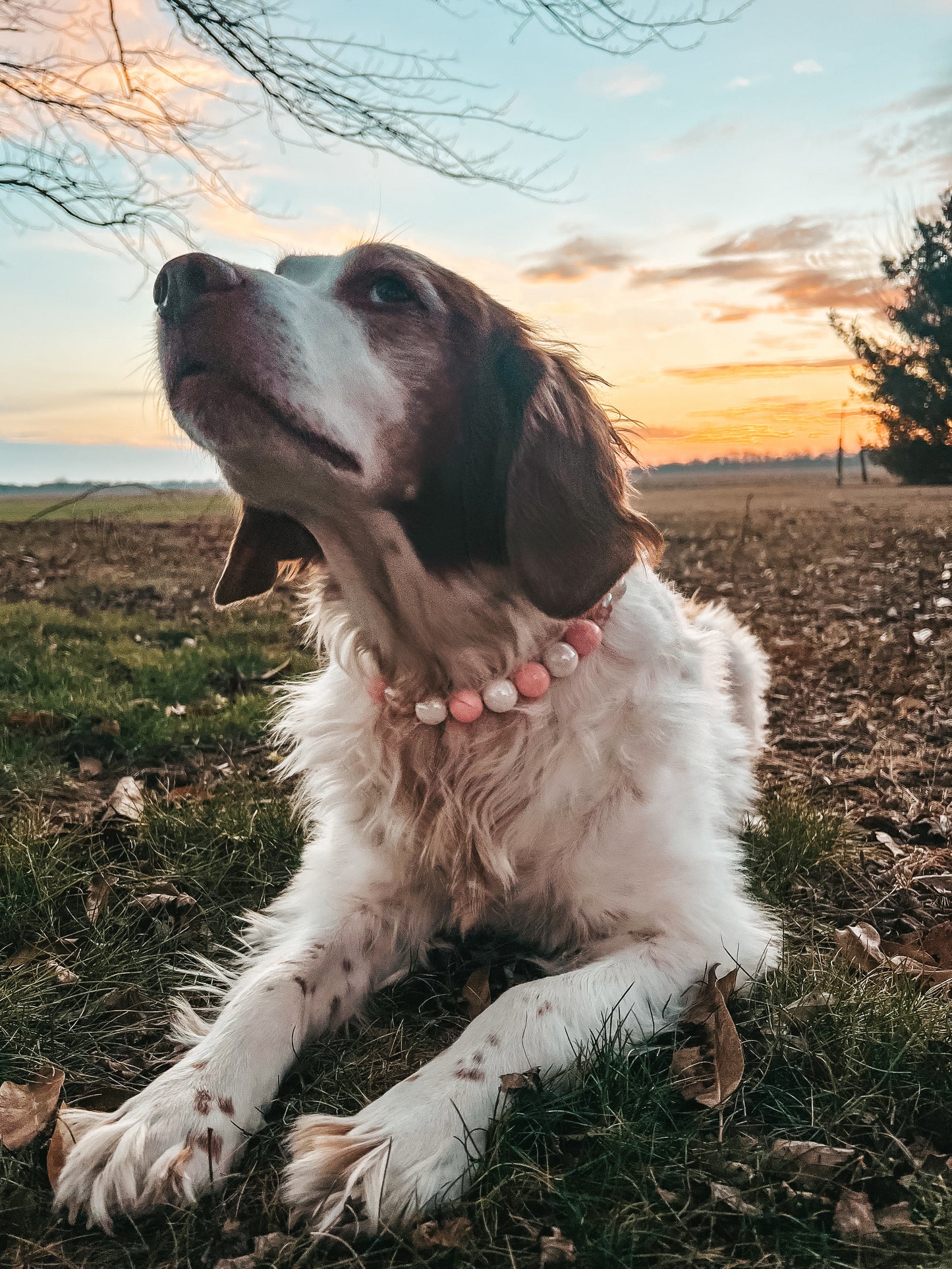 Large Valentines Beaded Collar