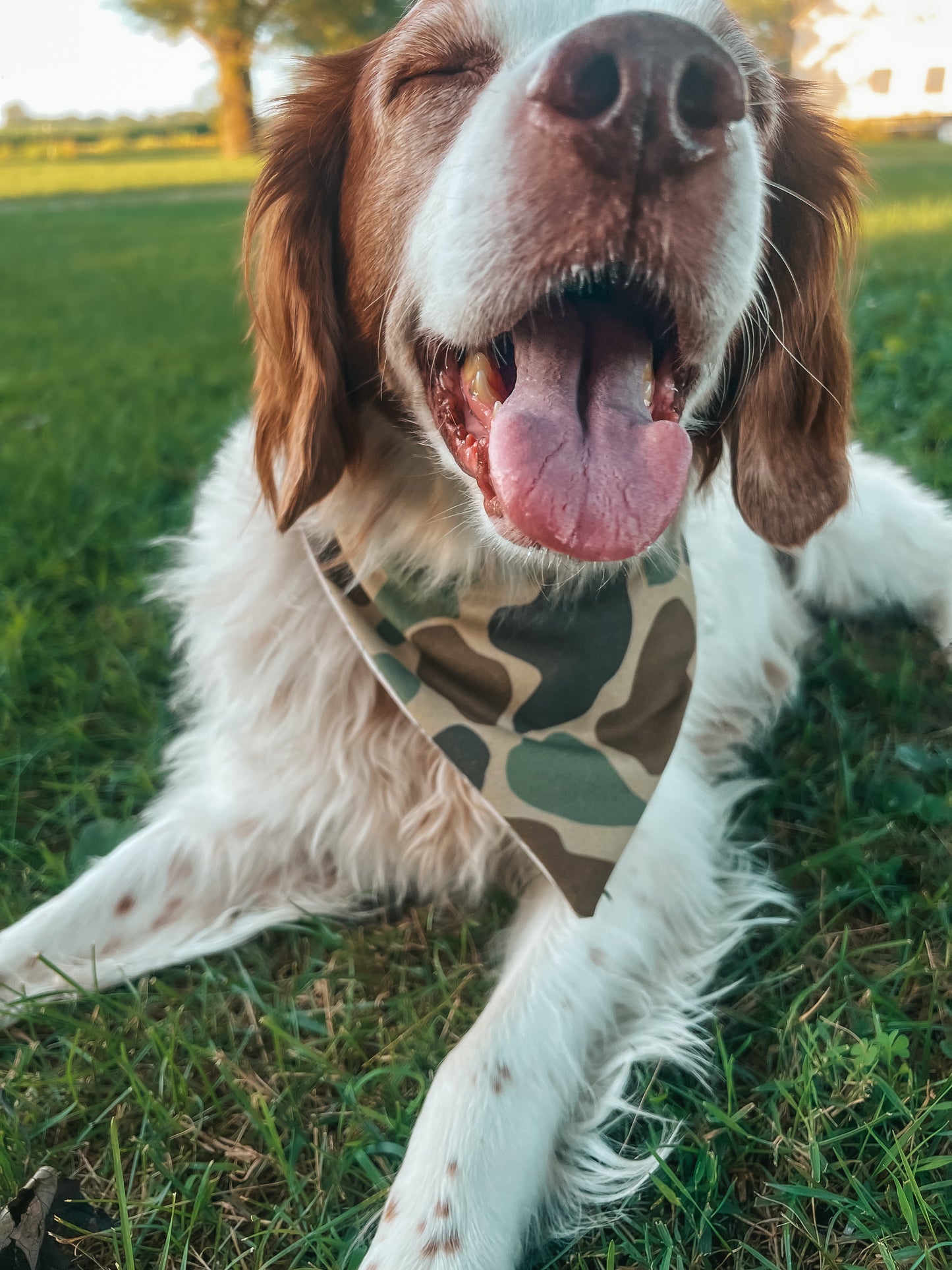 The Hunting Club Reversible Bandana
