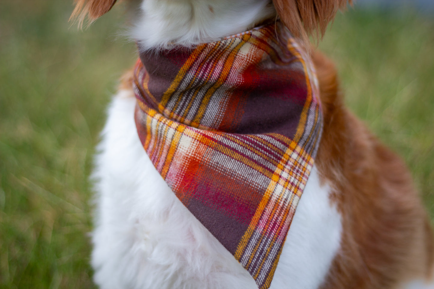 Fall Bandanas