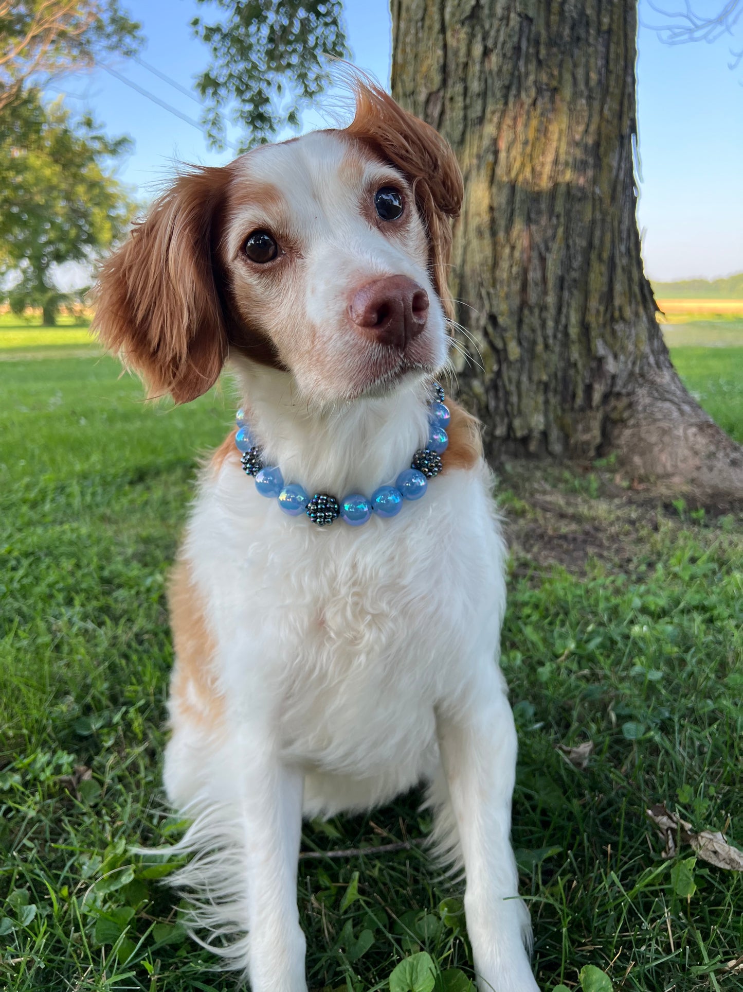 Blackberry Beaded Collar