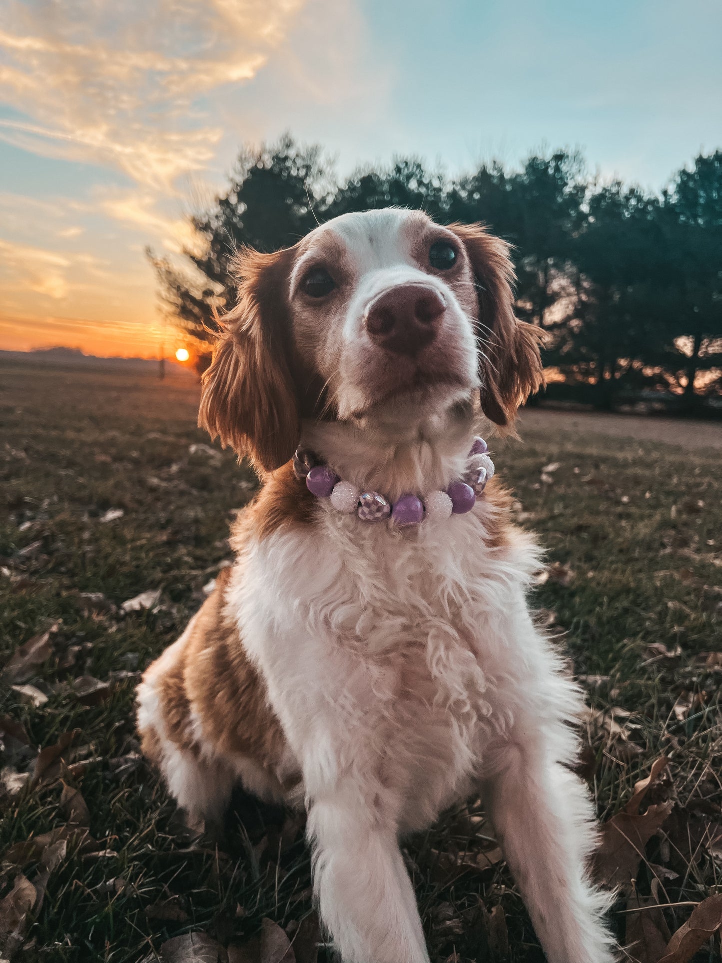 Medium Valentines Beaded Collar