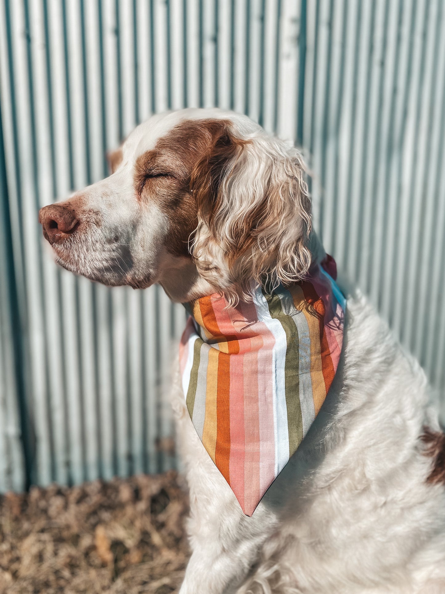 Spring Boys Dog Bandanas