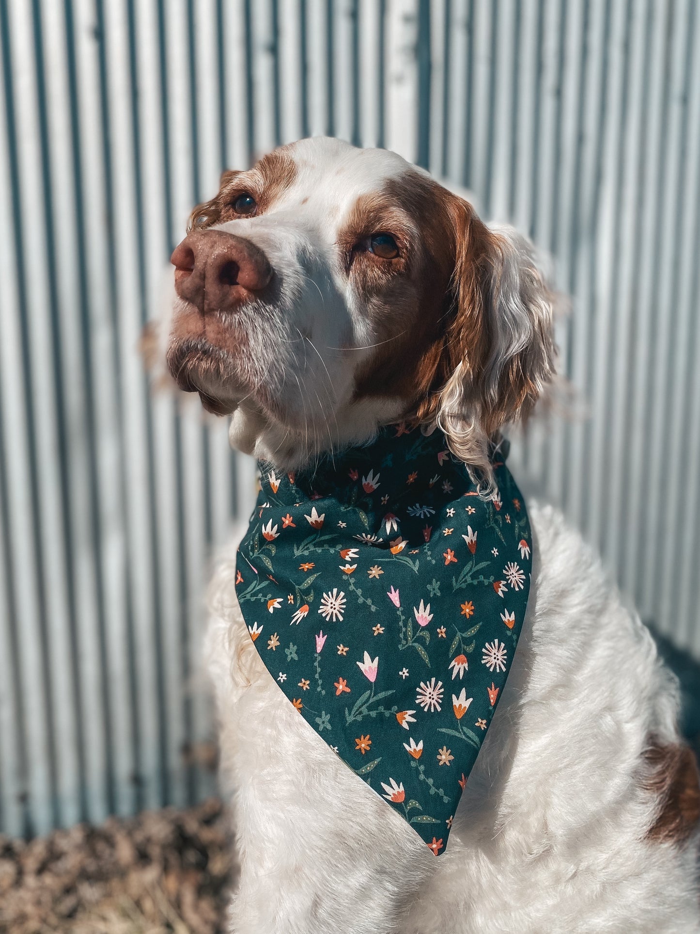 Spring Boys Dog Bandanas