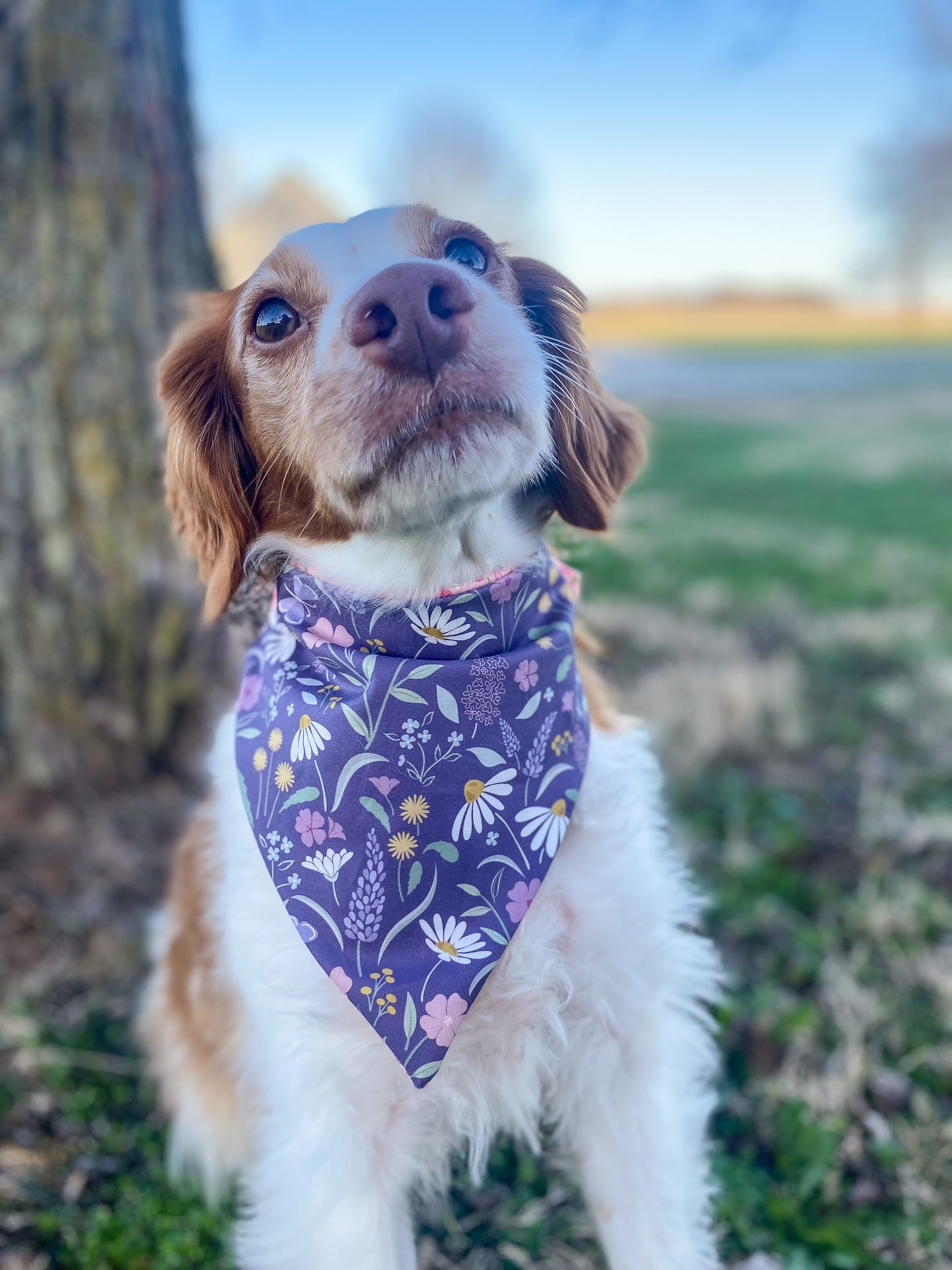 Floral Dog Bandanas