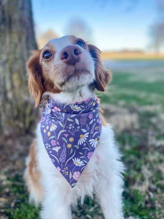 Floral Dog Bandanas