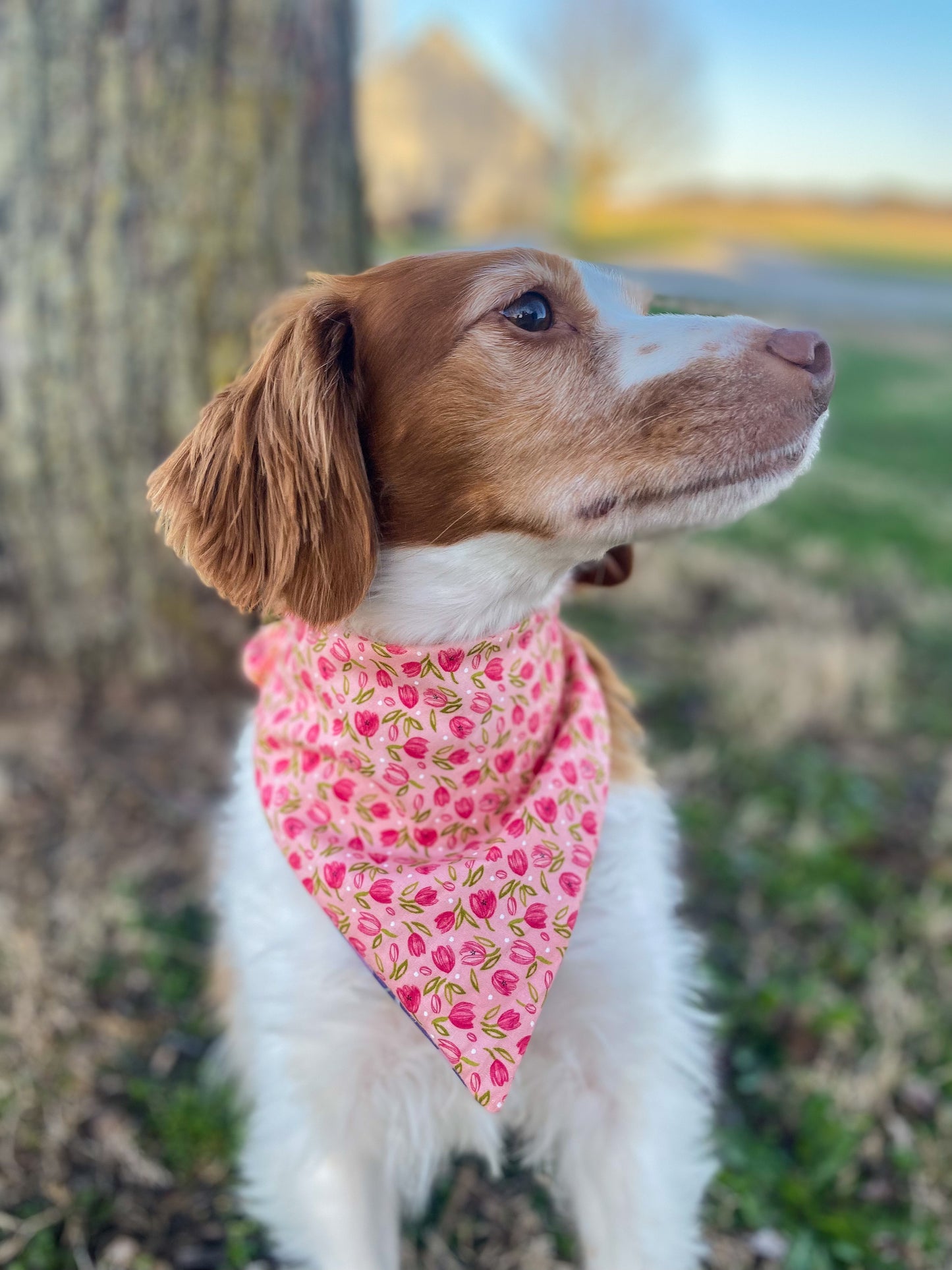 Floral Dog Bandanas