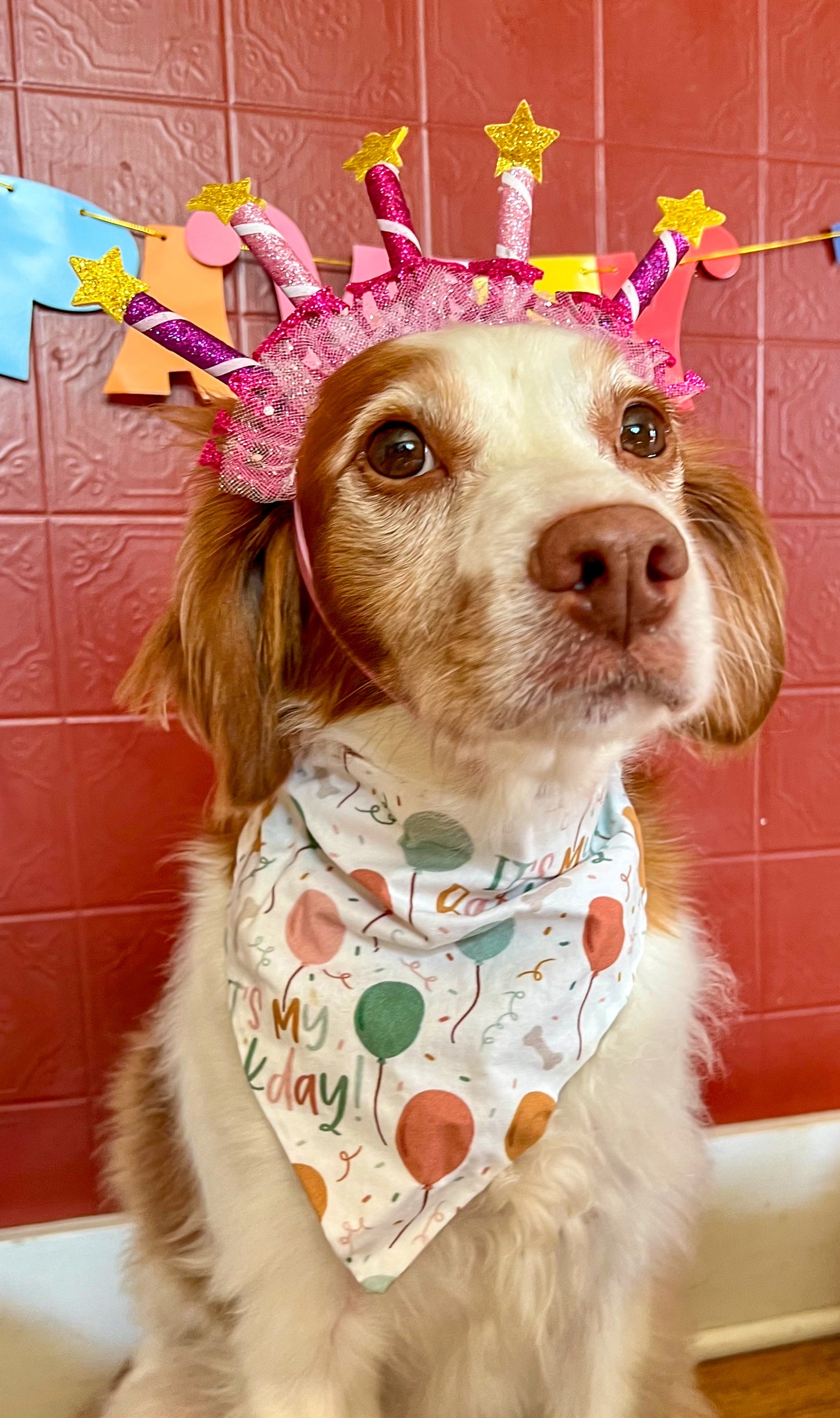 Happy Barkday Bandana