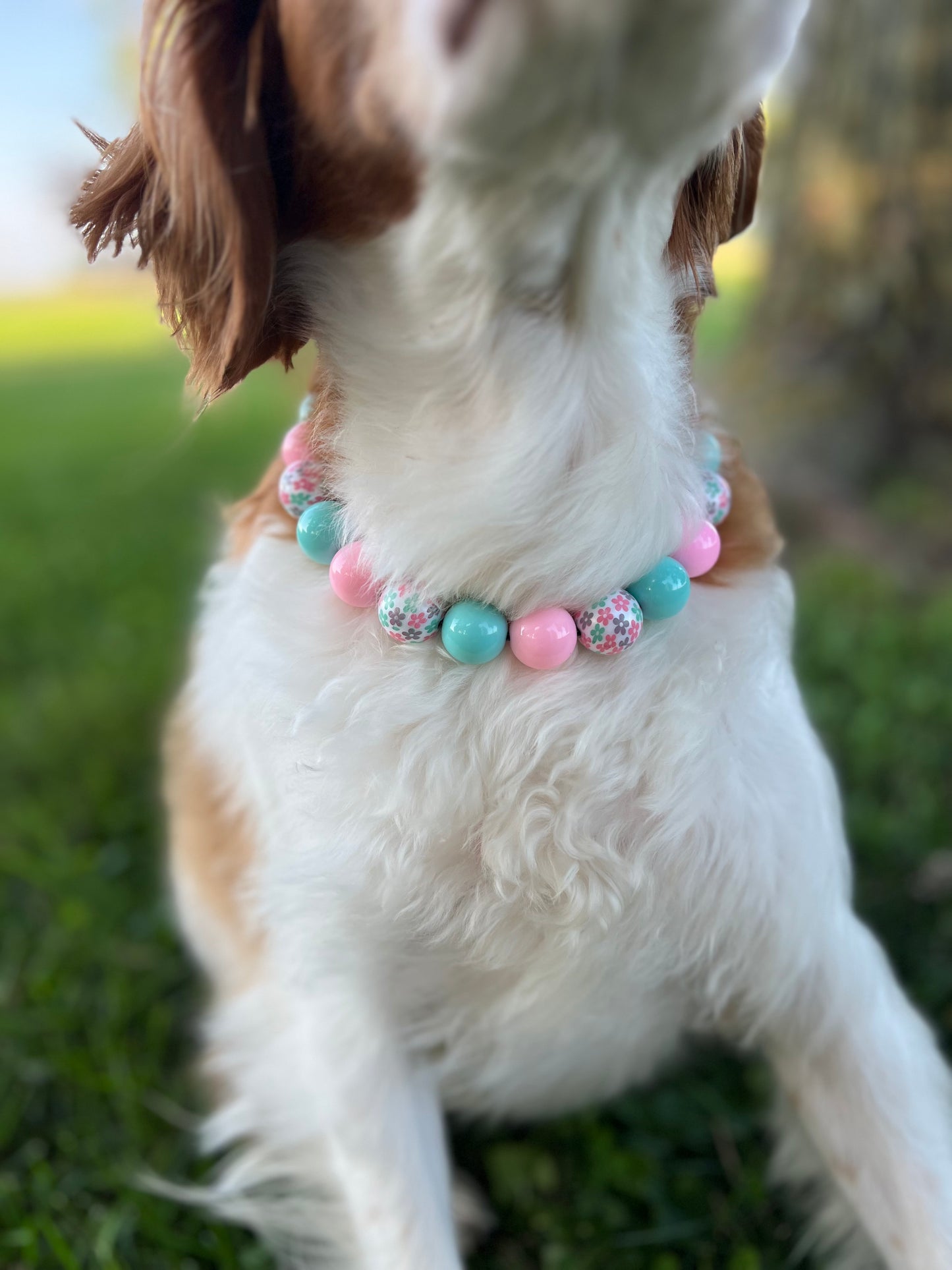 Flower Girl Beaded Collar