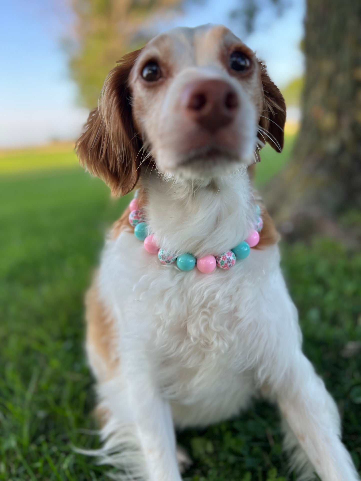 Flower Girl Beaded Collar