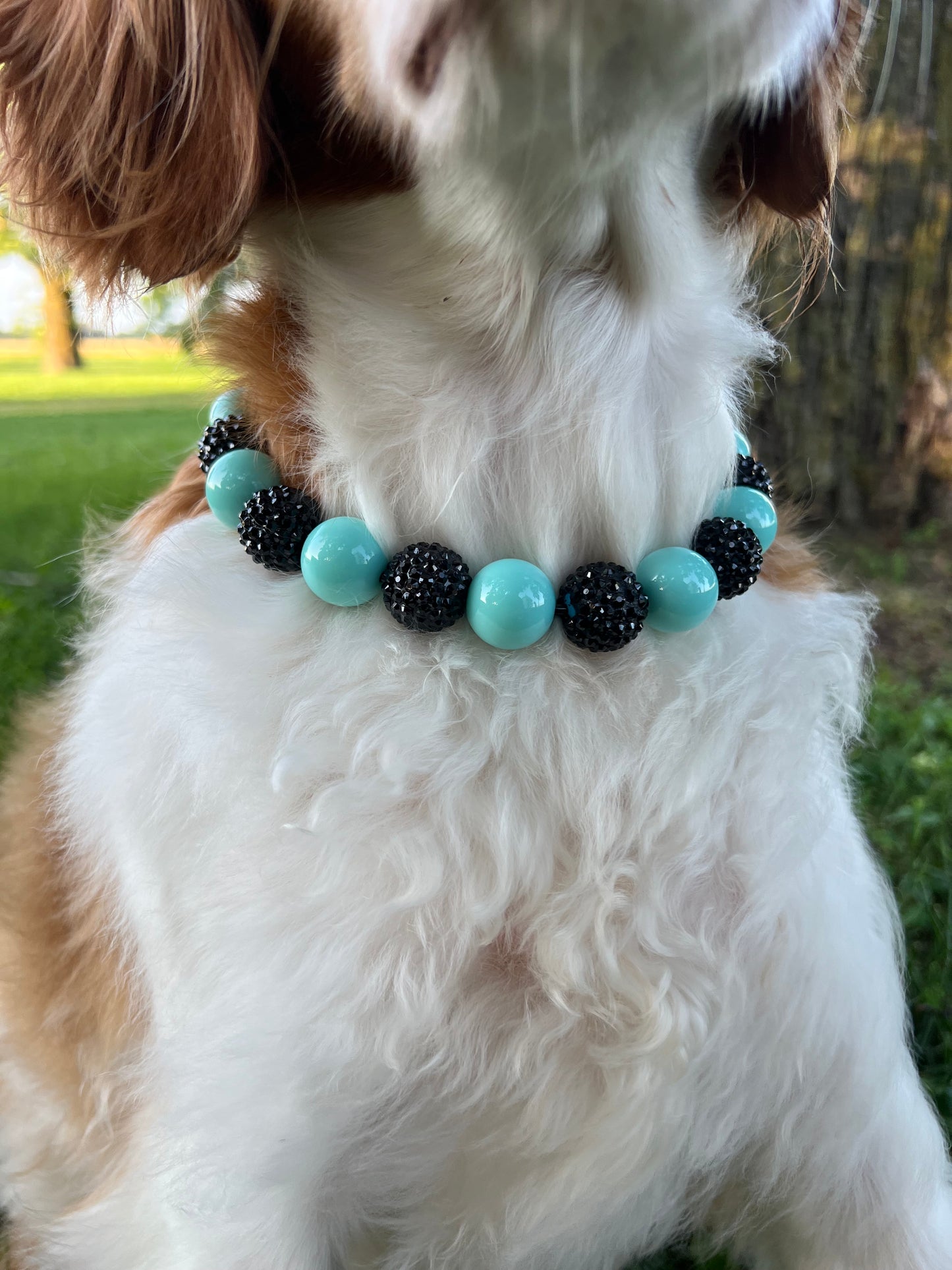 Black Turquoise Beaded Collar