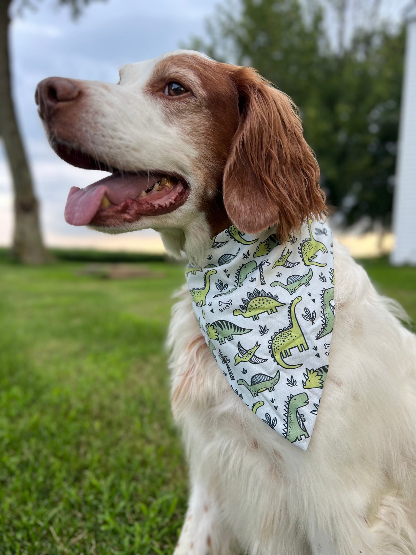 The Boys Dog Bandanas